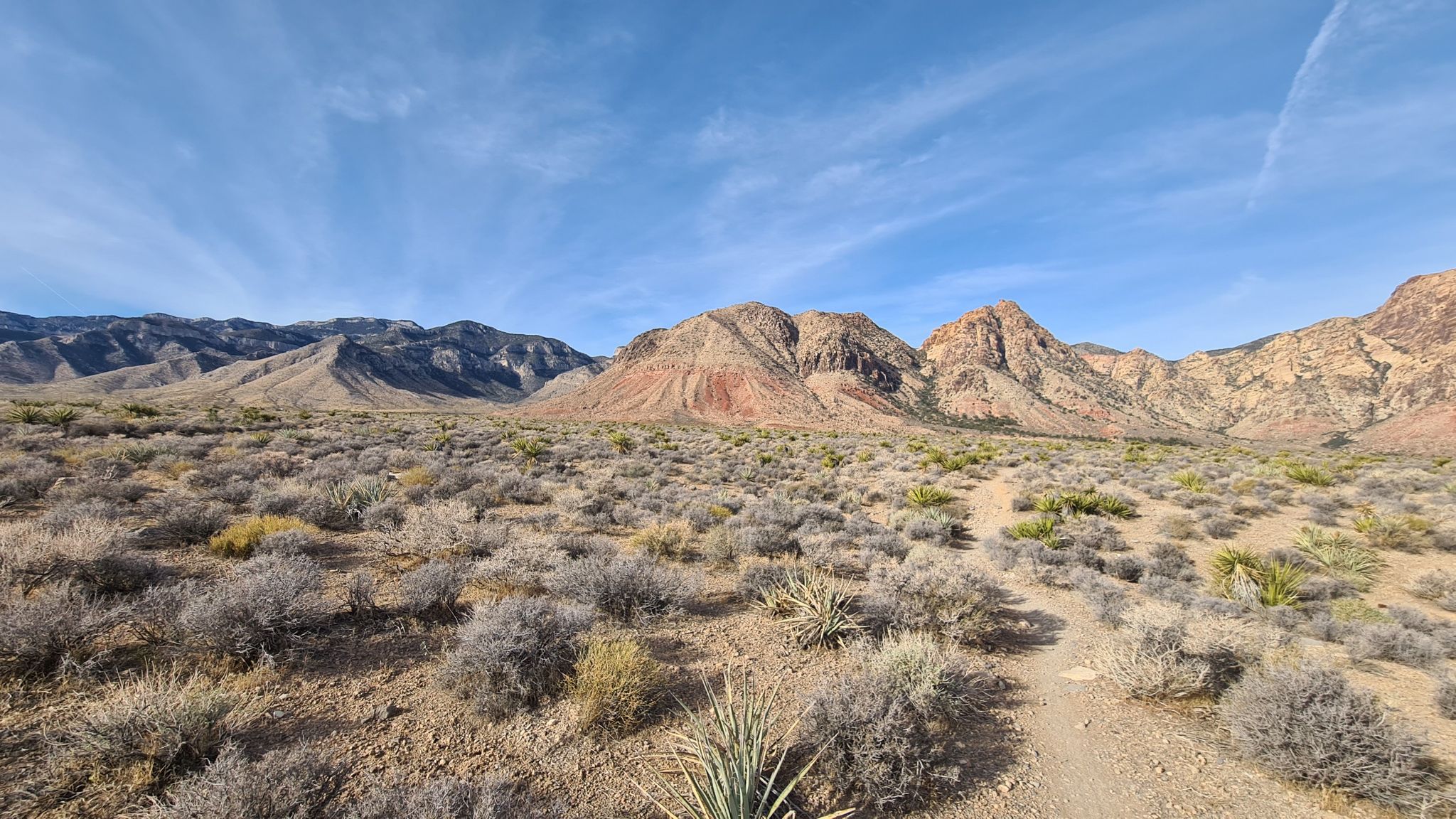 Arid scrubland and a dirt path lead to colorful desert mountains under a clear sky. - Blue Diamond – Cactus Slalom Trail loop from Blue Diamond