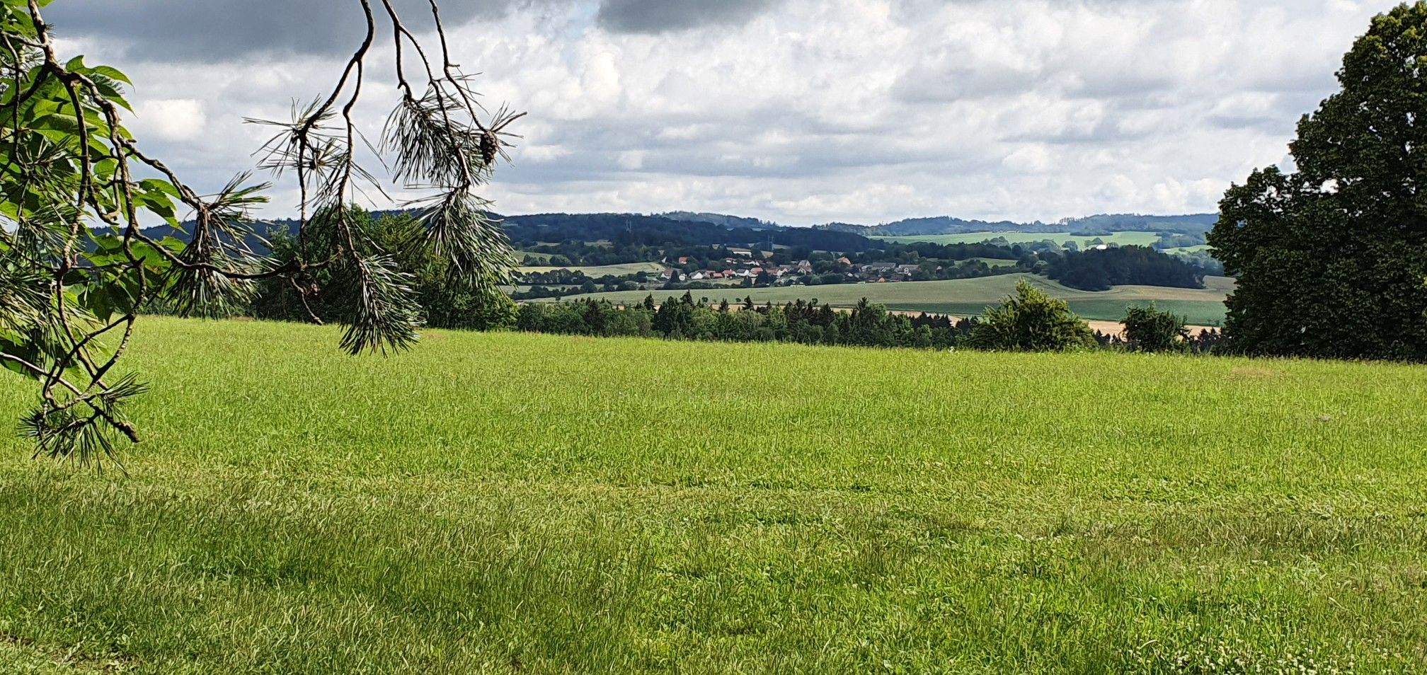 Ausblick