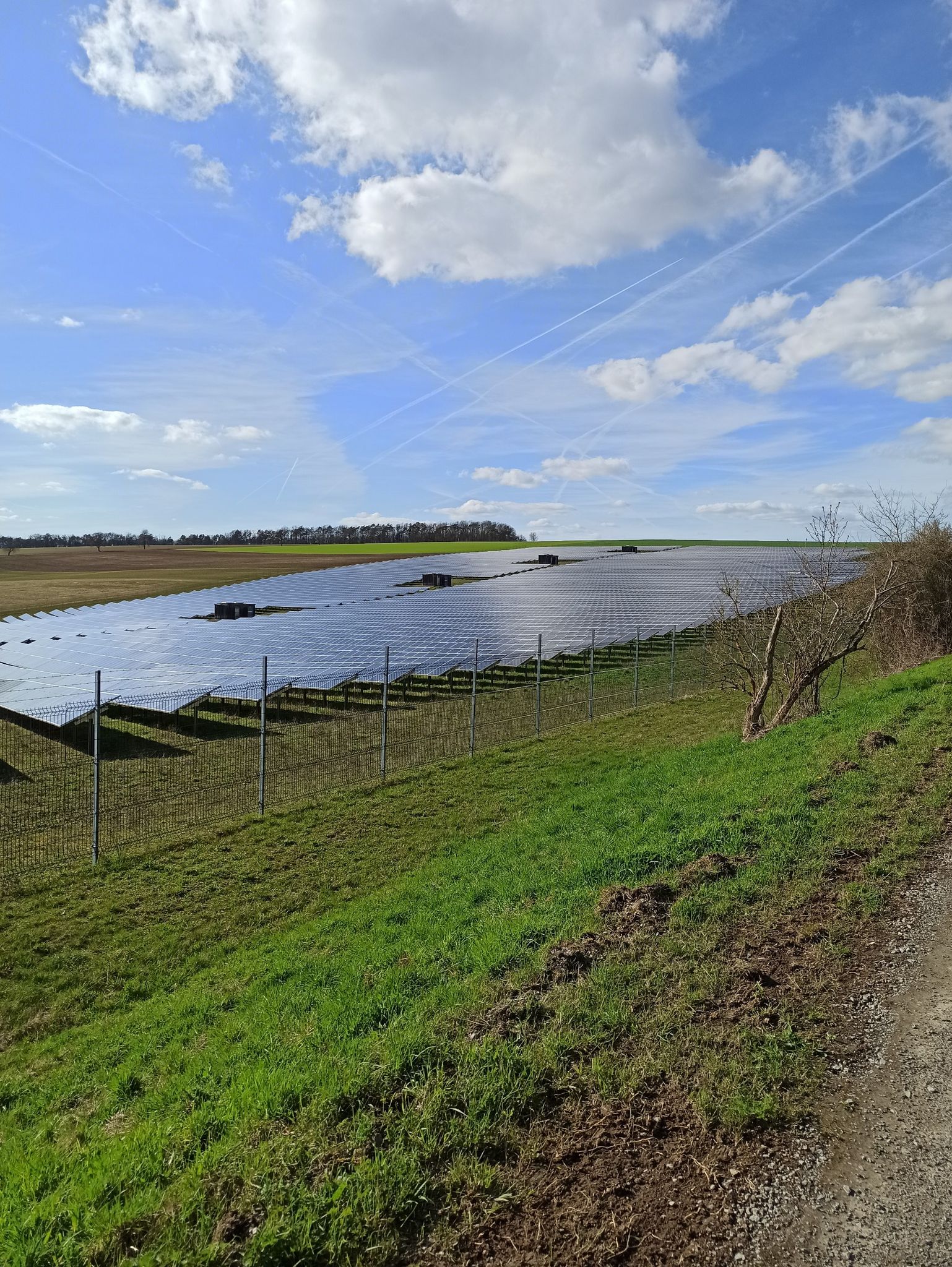 Naturpfad Thüngen Solarpark