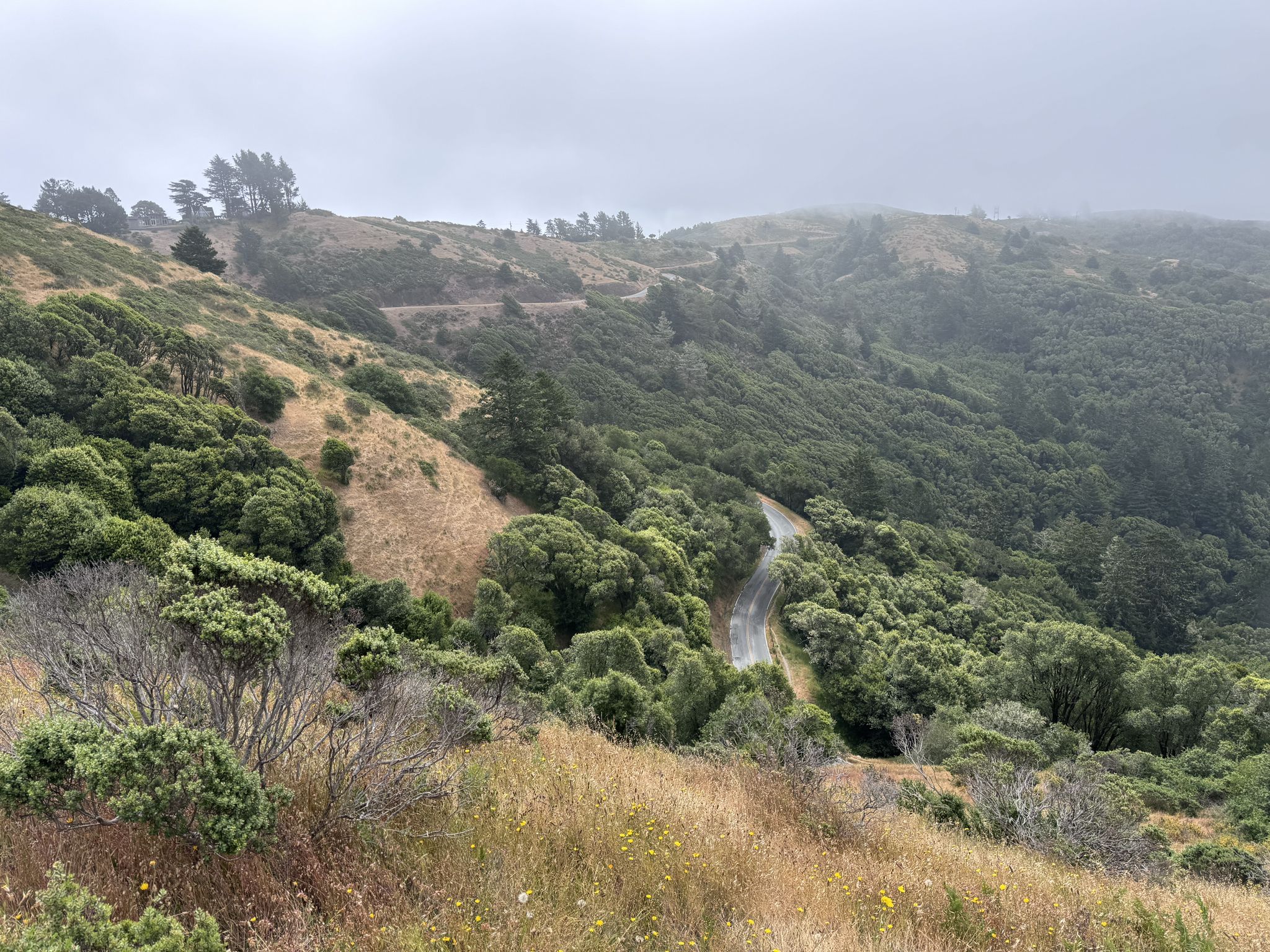 Overcast view of a winding road through forested and grassy hillsides. - Sun Trail