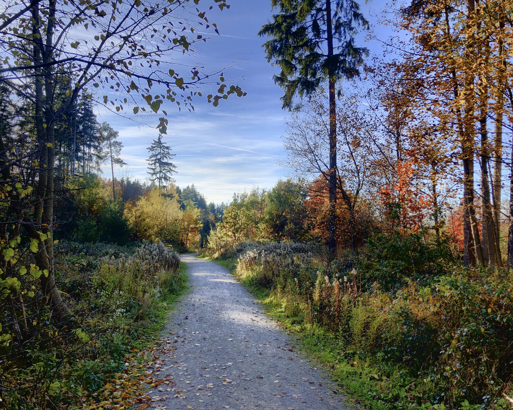 Pfannenstiel geräumt