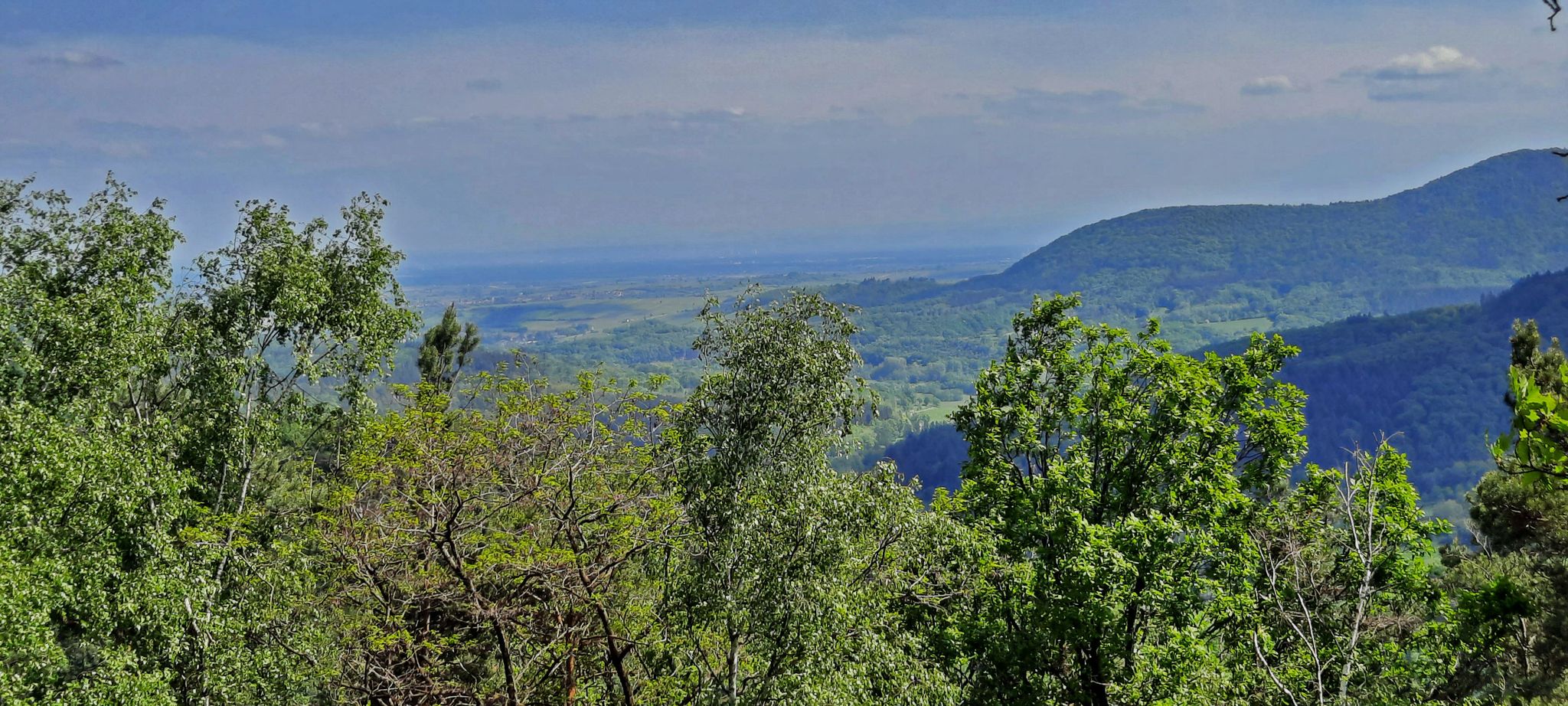 Blick ins "platte Land"