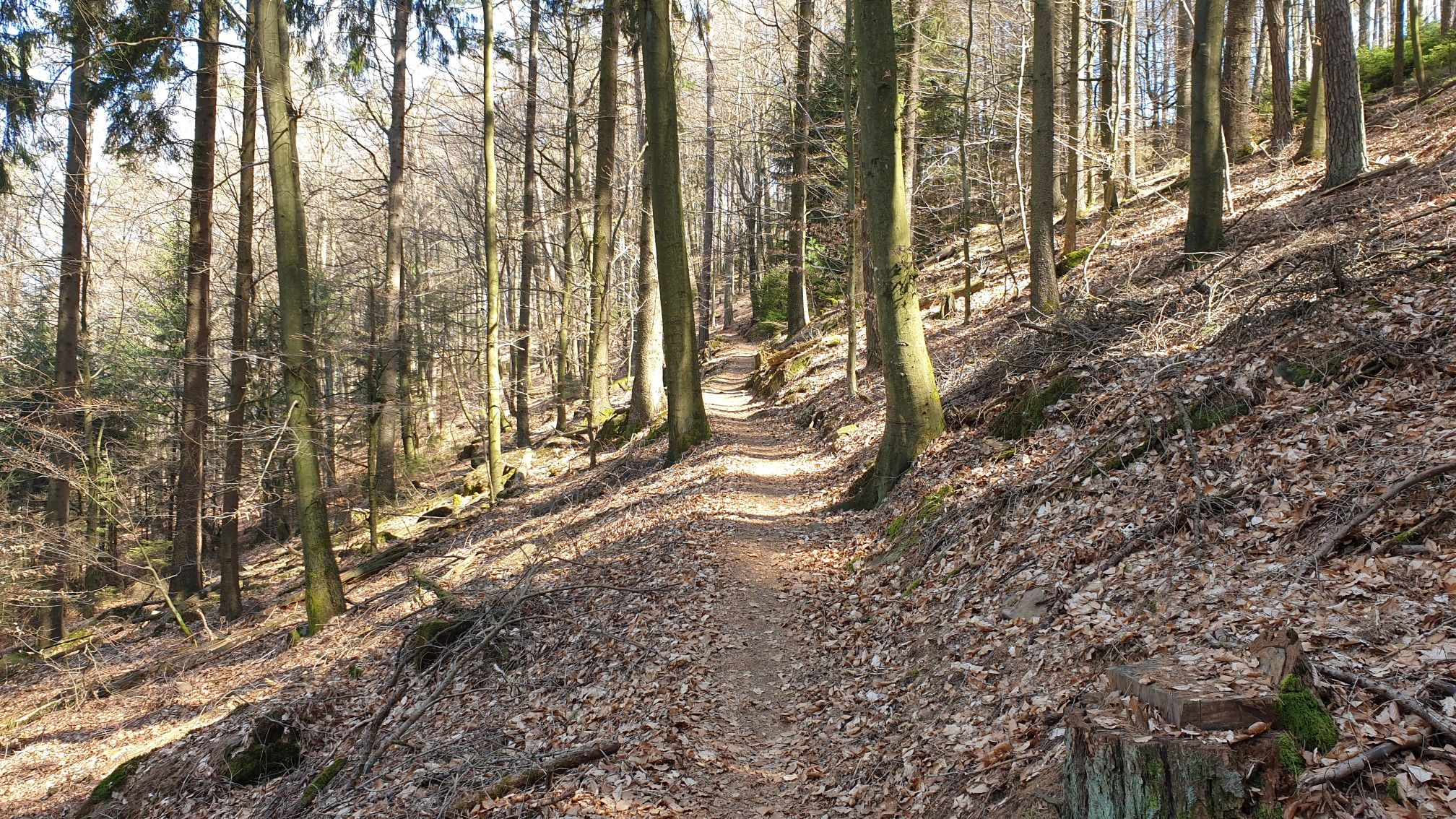 aufm Weg zum Almersberg
