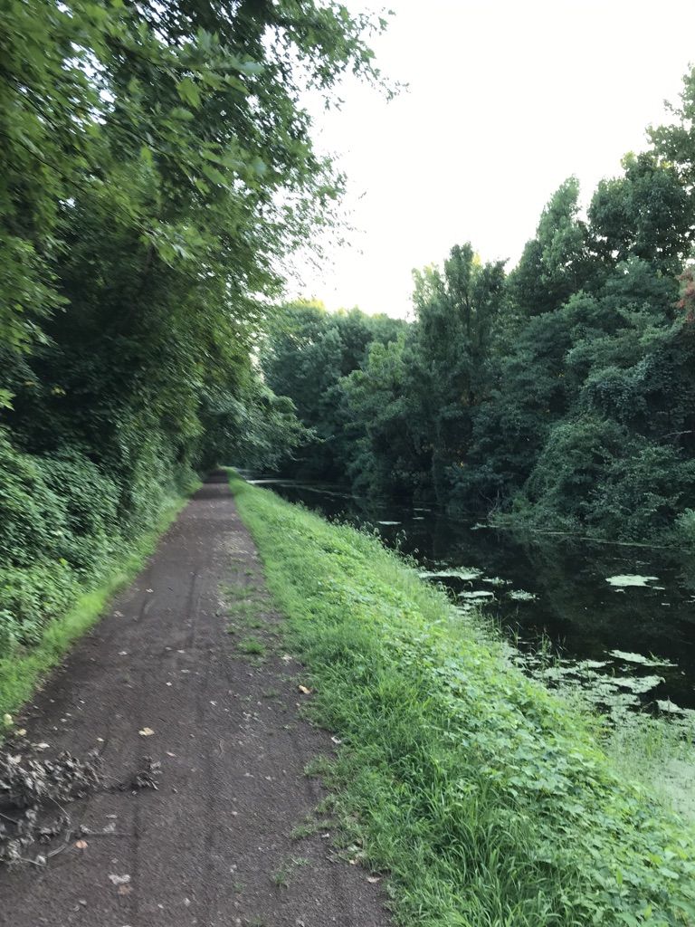 Dirt path alongside a dark canal, surrounded by lush green trees. - D&L Trail