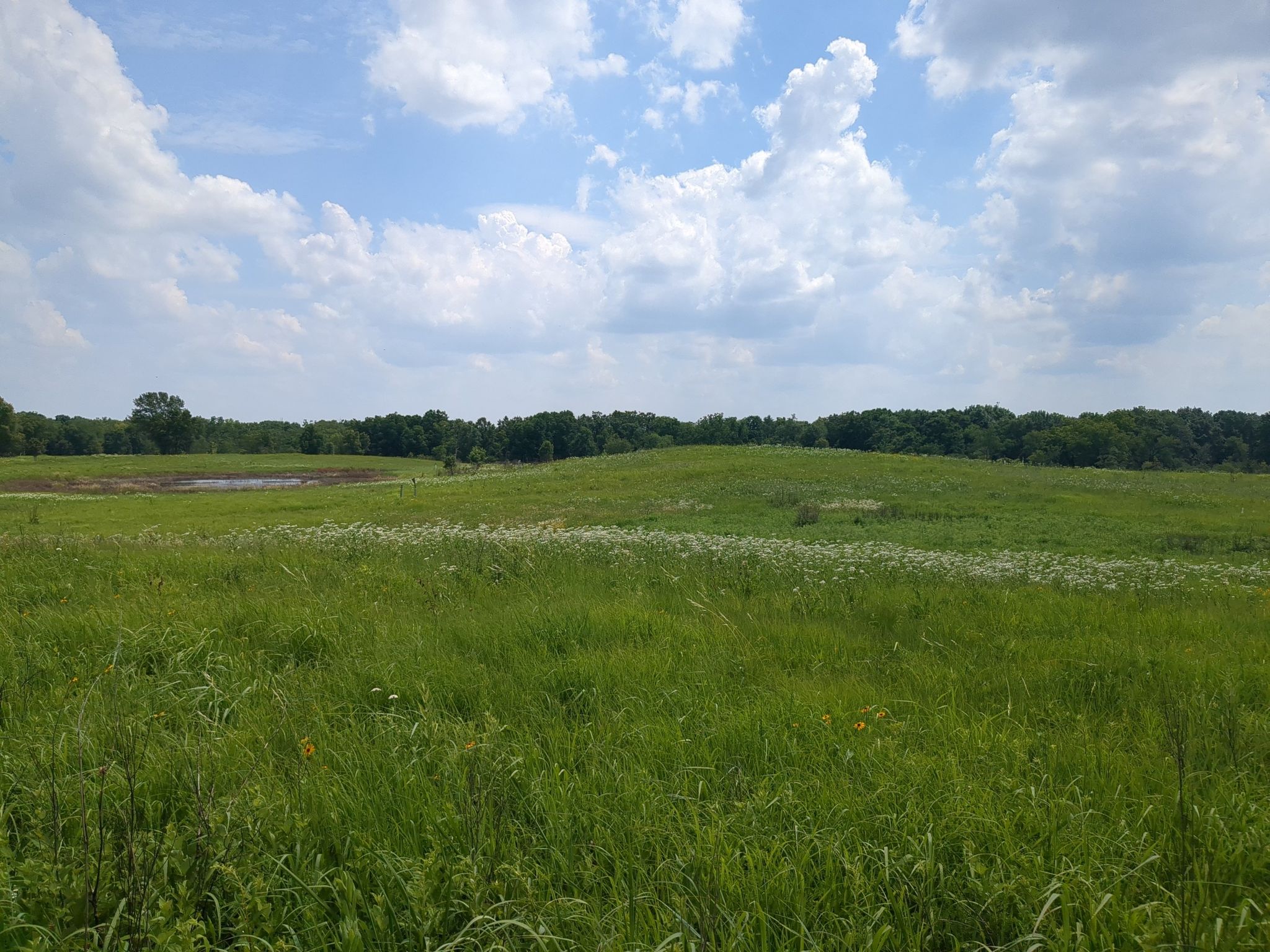Illinois - the Prairie State
