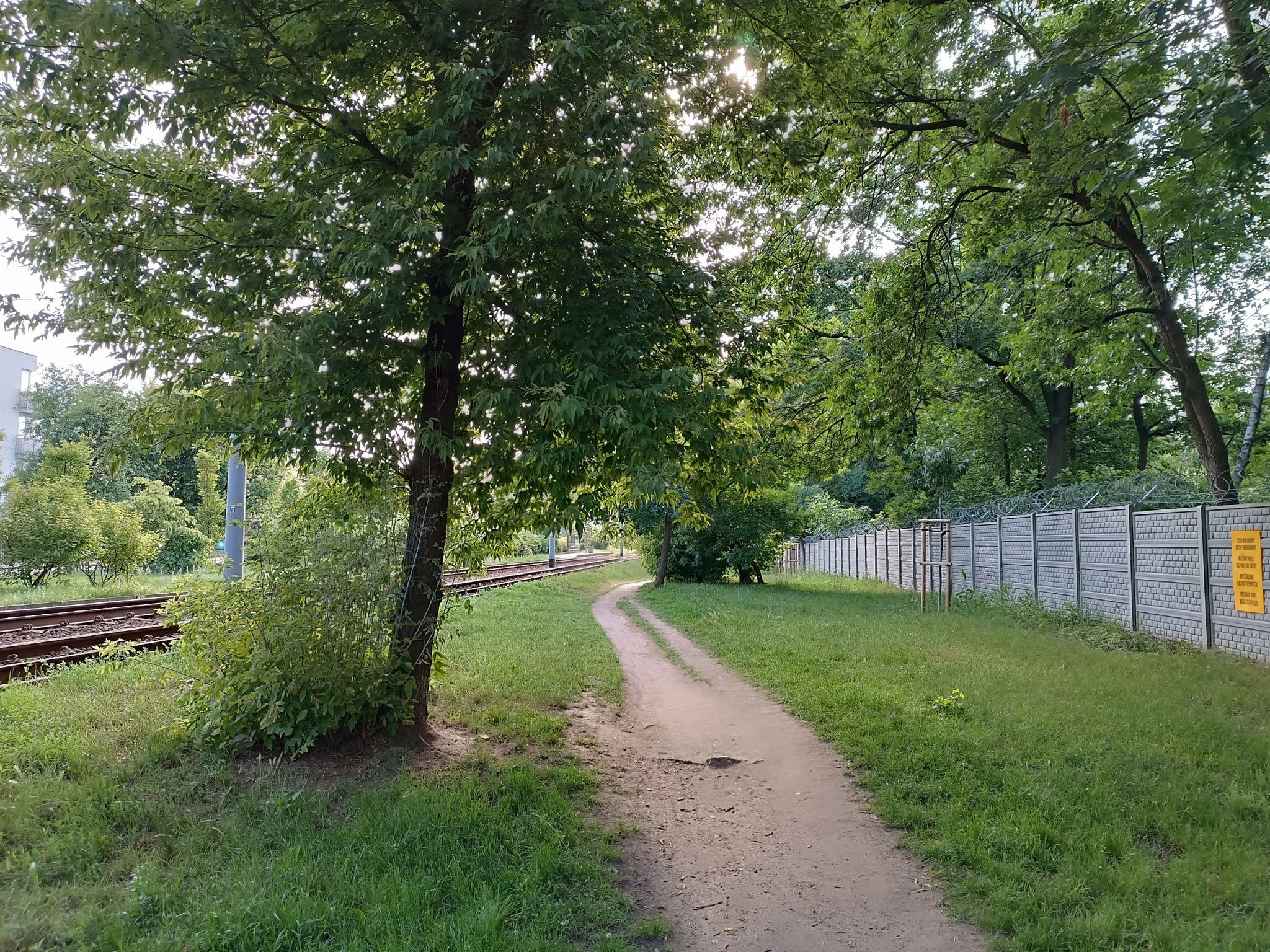 Dalszy odcinek Dywizjonu 303 między Powstańców Śląskich i Lazurową możliwy do przejechania po zielonym