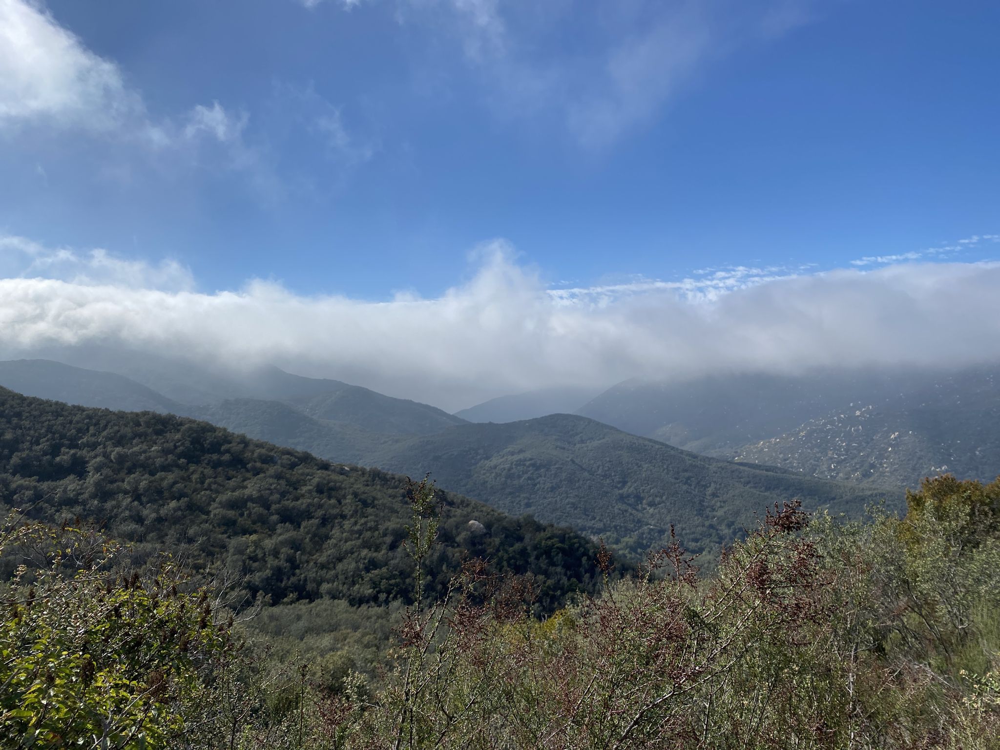 Rolling green mountains partially covered by low clouds under a bright sky. - San Mateo Peak via Morgan, Tenaja Falls, and San Mateo Peak Trail Loop