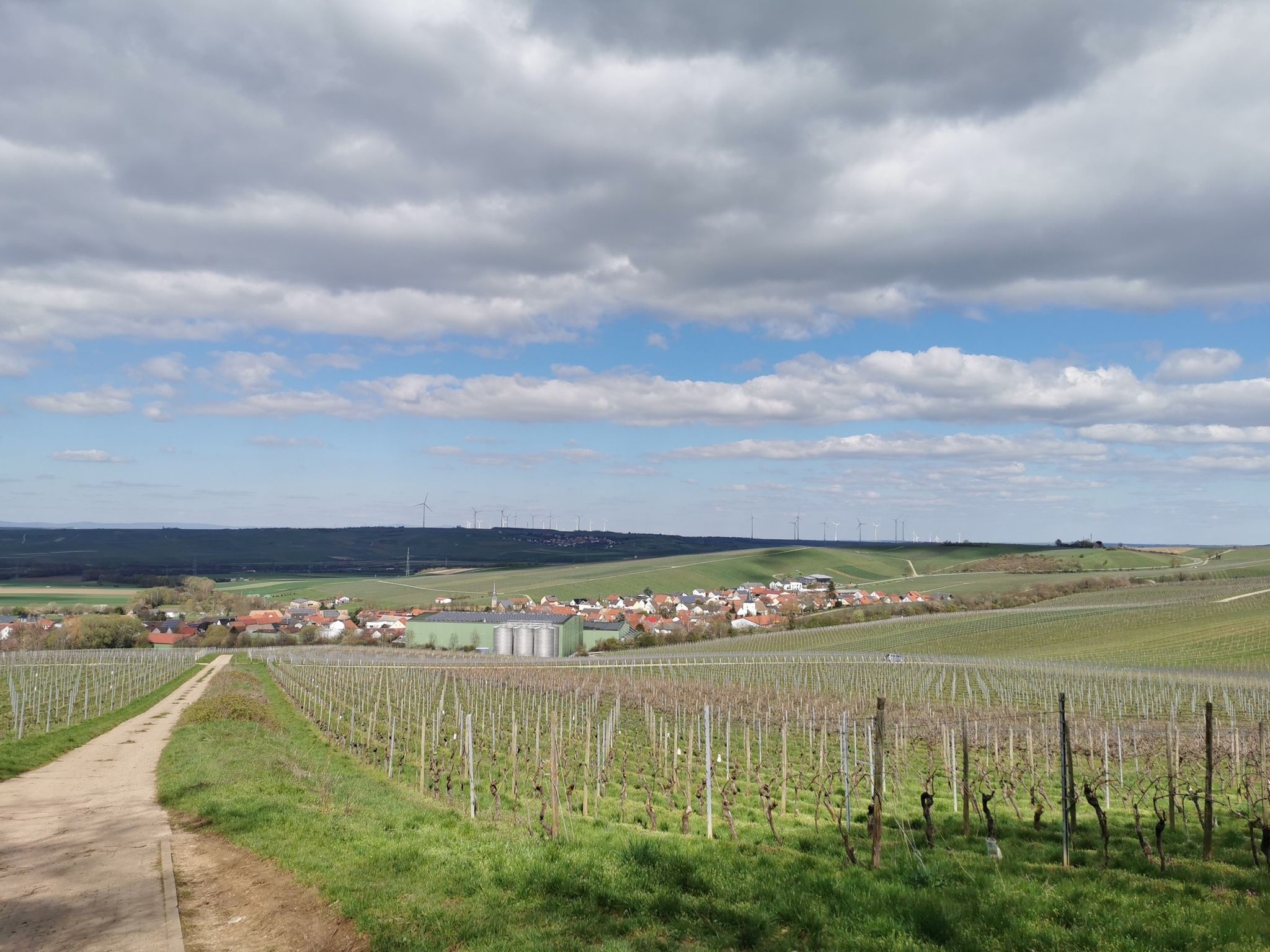 Blick über Lonsheim