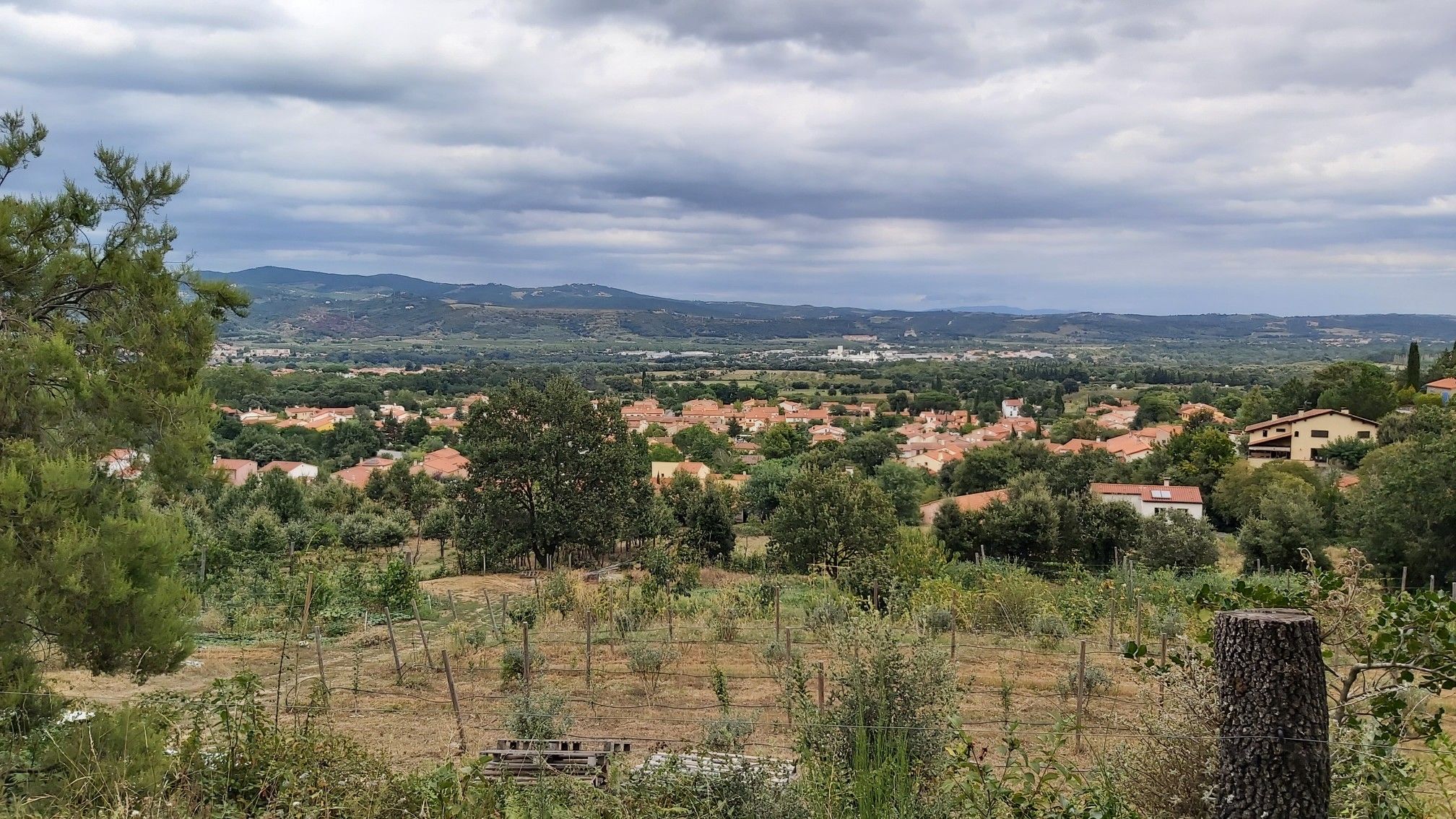 Aussicht 
