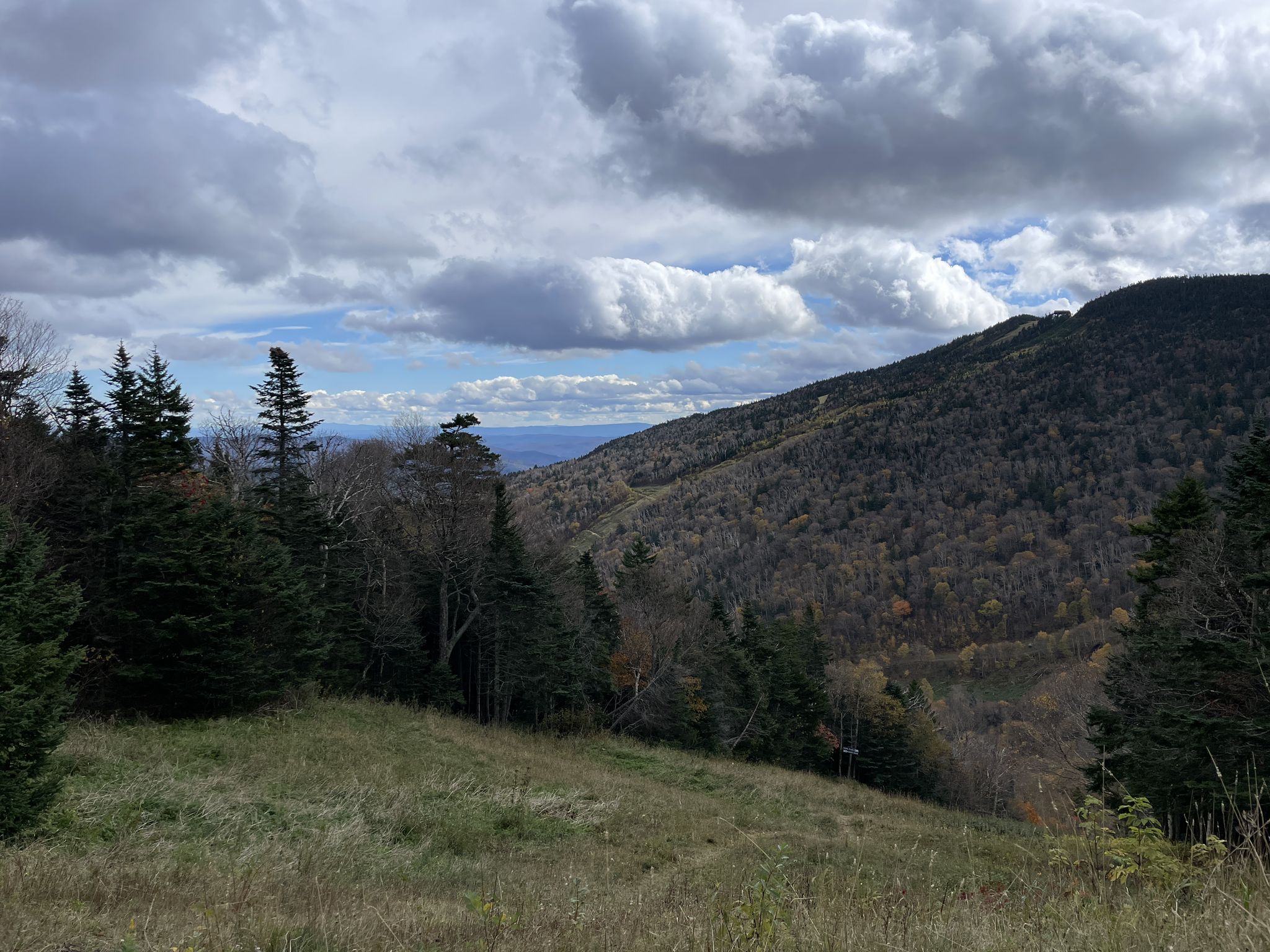 Grassy slope leading to a forested mountain under a cloudy sky. - Killington Peak Loop