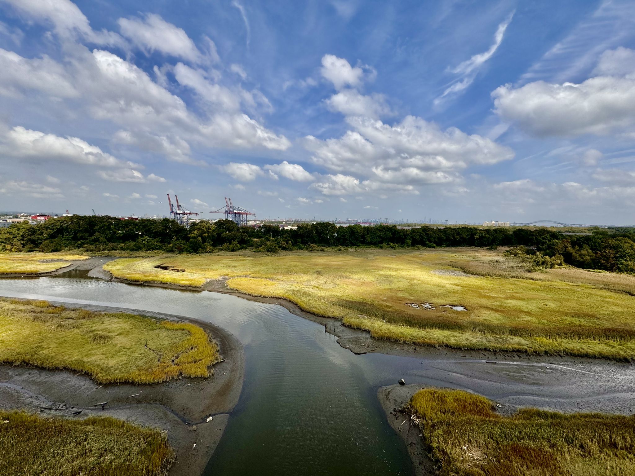 Winding river through green and yellow marshland under a blue, cloudy sky. - Midland Beach Promenade – Goethals Bridge loop from North Elizabeth