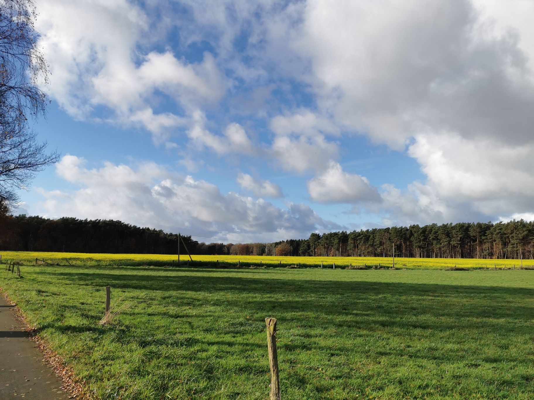 Zwischen Riekenborstel und Kirchwalsede 1