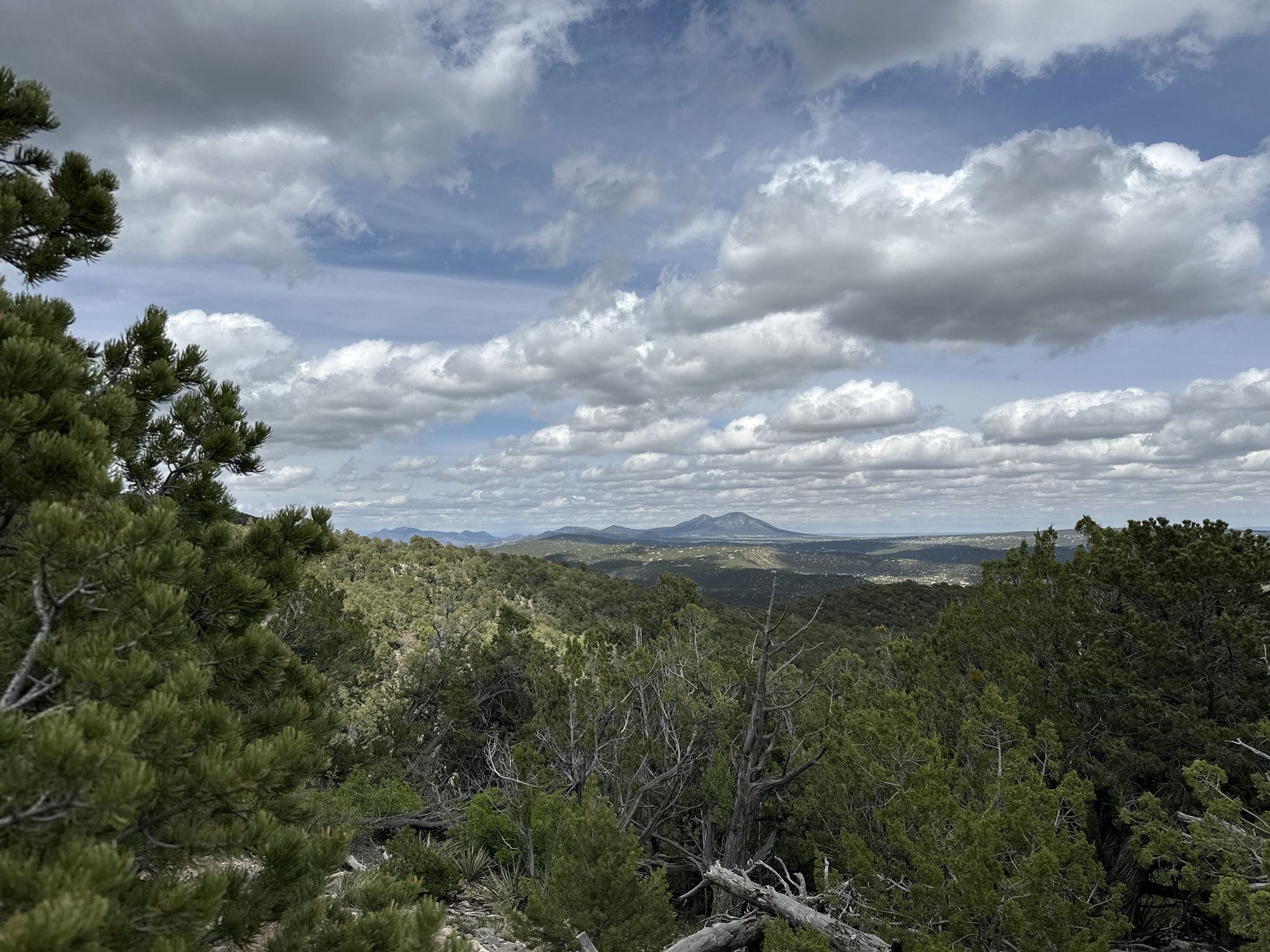 Lush green forest under a cloudy sky, with distant mountains visible. - South Crest and Faulty Trails Loop