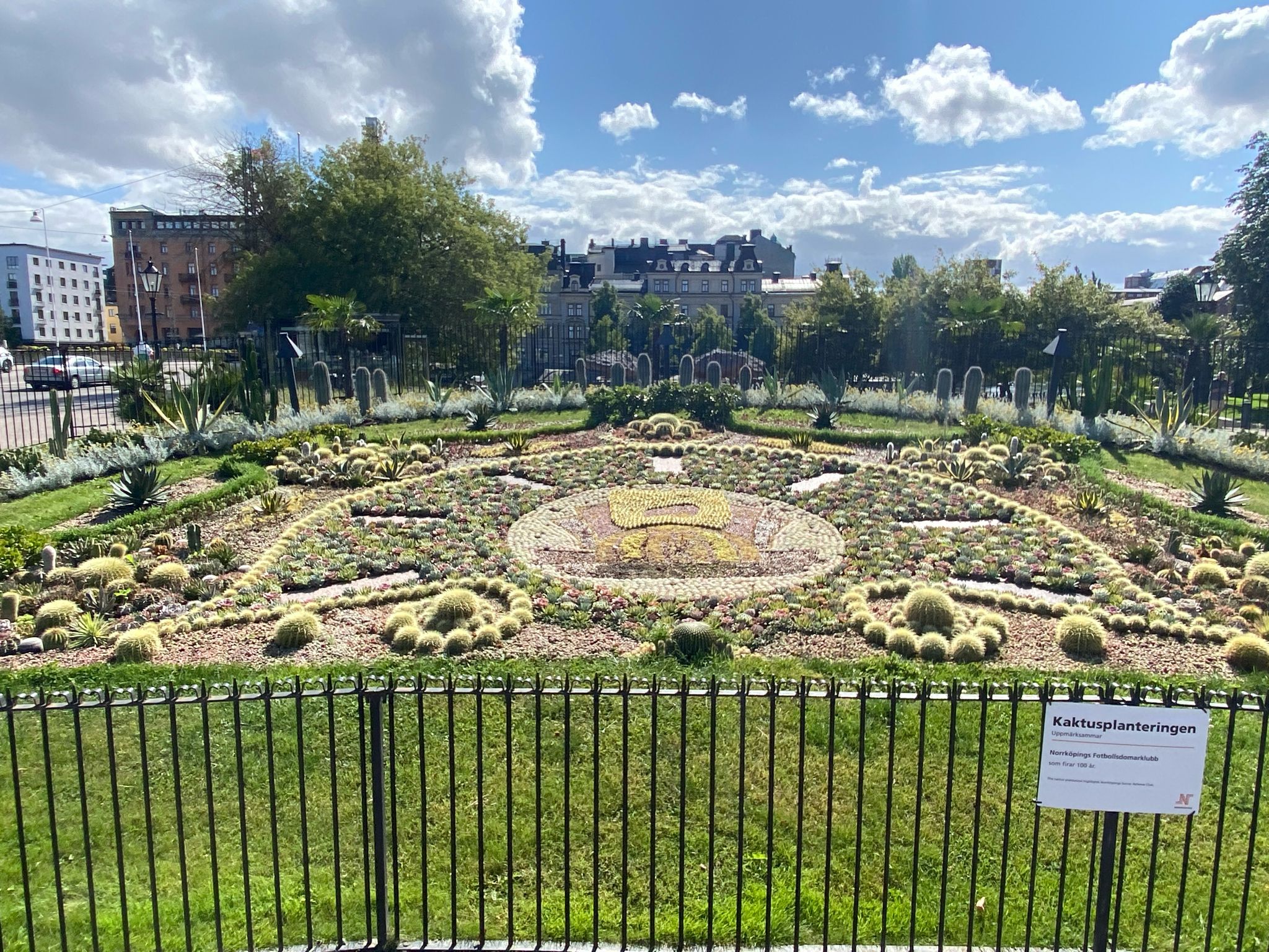 Kakteen 🌵 Garten