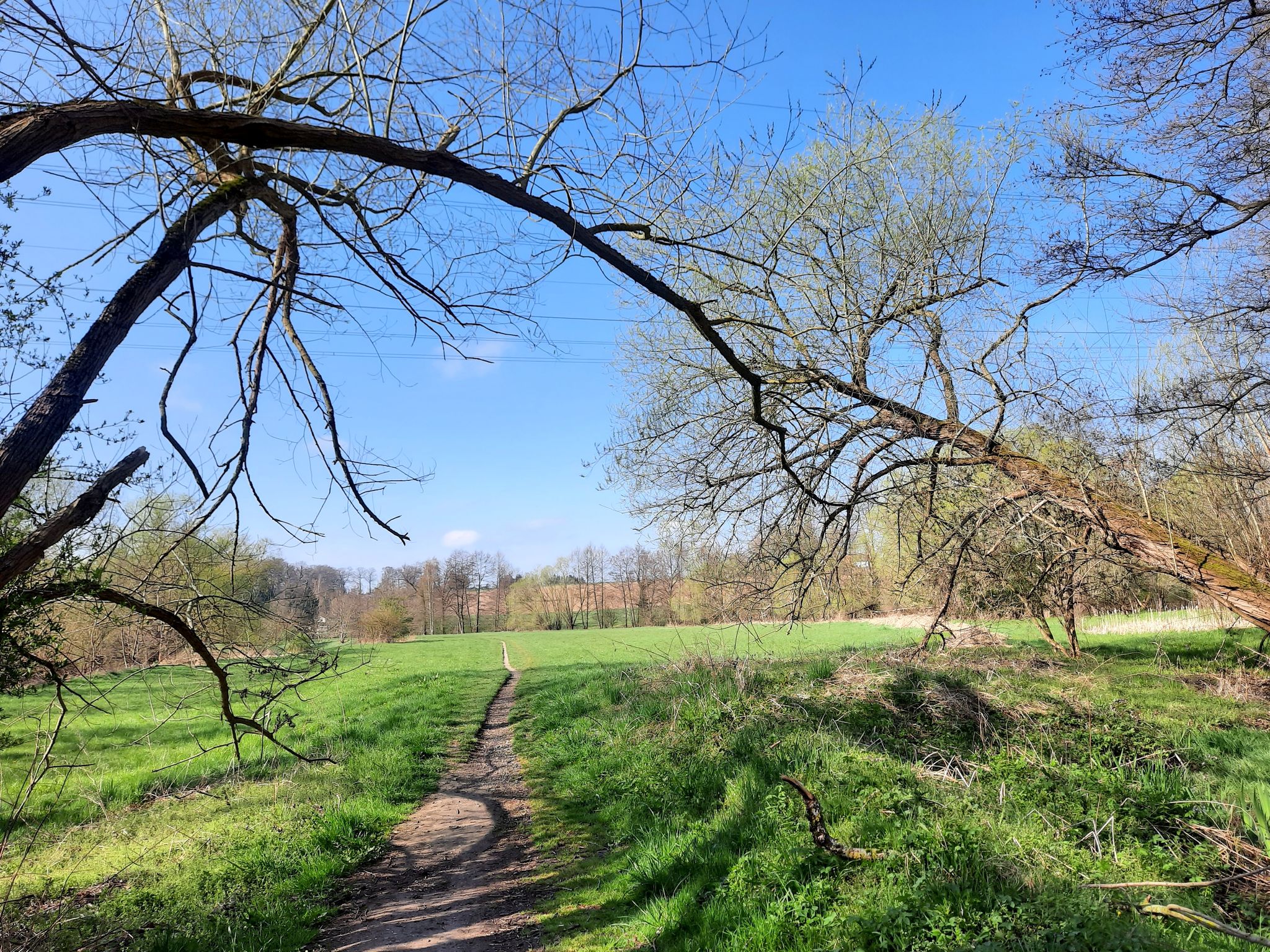 Ruhe, Sonne, Vogelgezwitscher