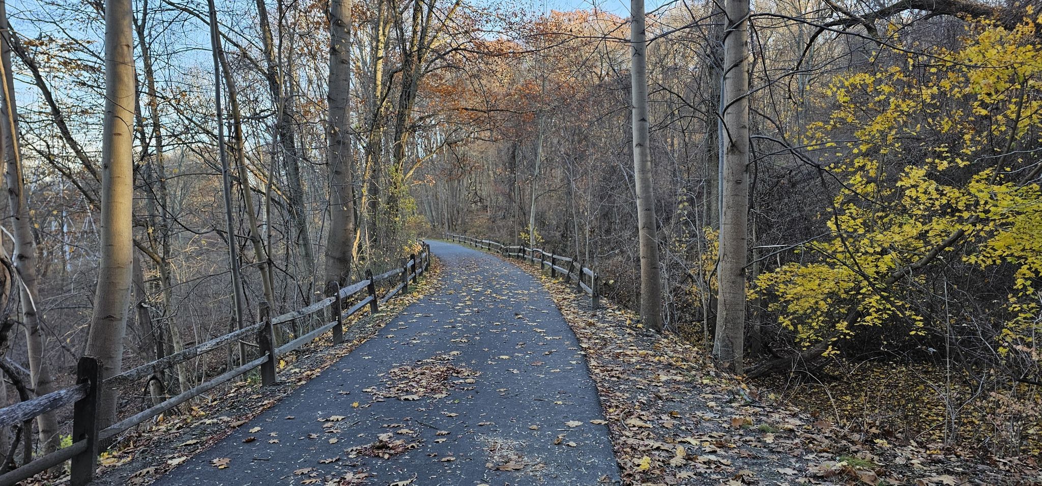 Paved path with fallen leaves, lined by a wooden fence and bare trees. - Van Cortlandt Greenway – Woodlands Lake loop from Hawthorne