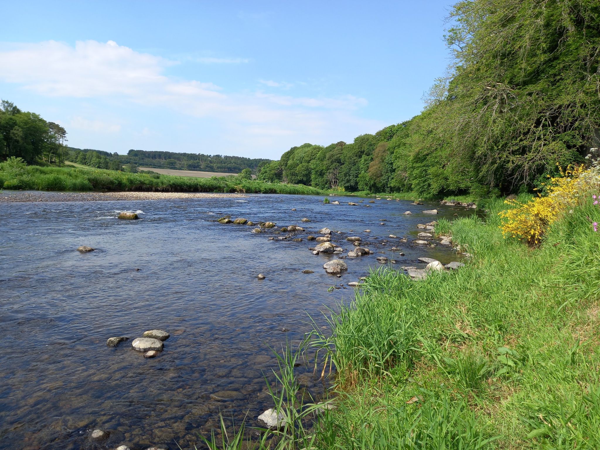 River Don