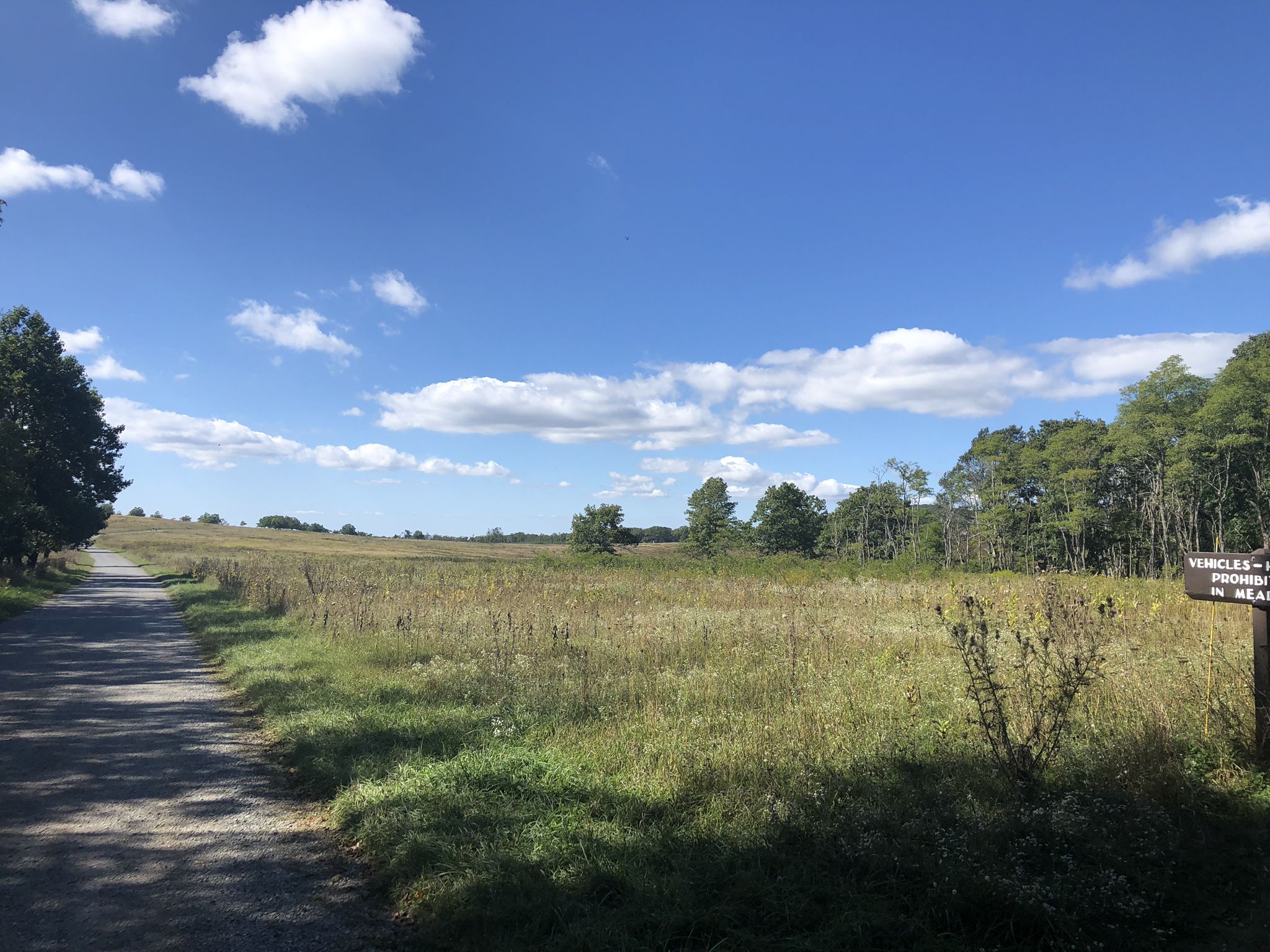Wide grassy field with a dirt road under a blue sky. - Mill Prong Trail to Rapidan Camp