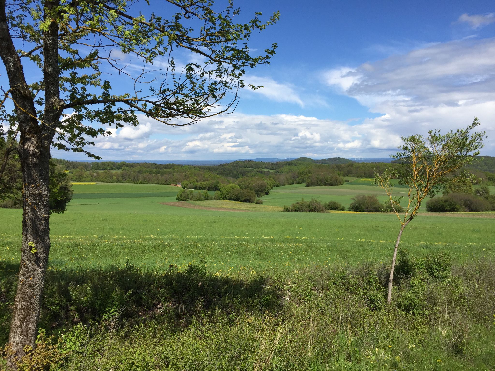 ...Talblick auf Altendorf...