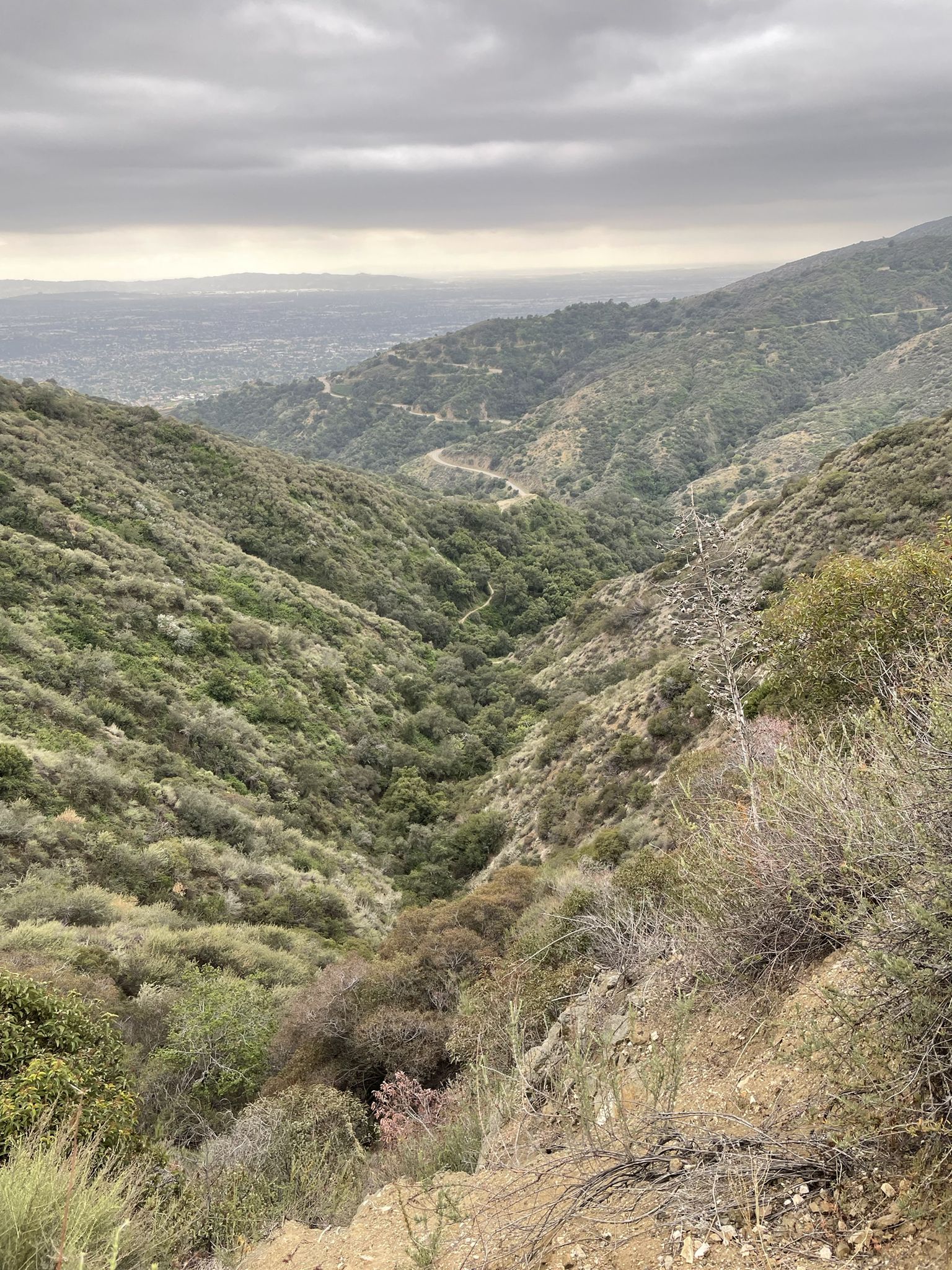 Overcast view of a deep, green mountain valley with a winding road. - Lower Monroe Truck Trail