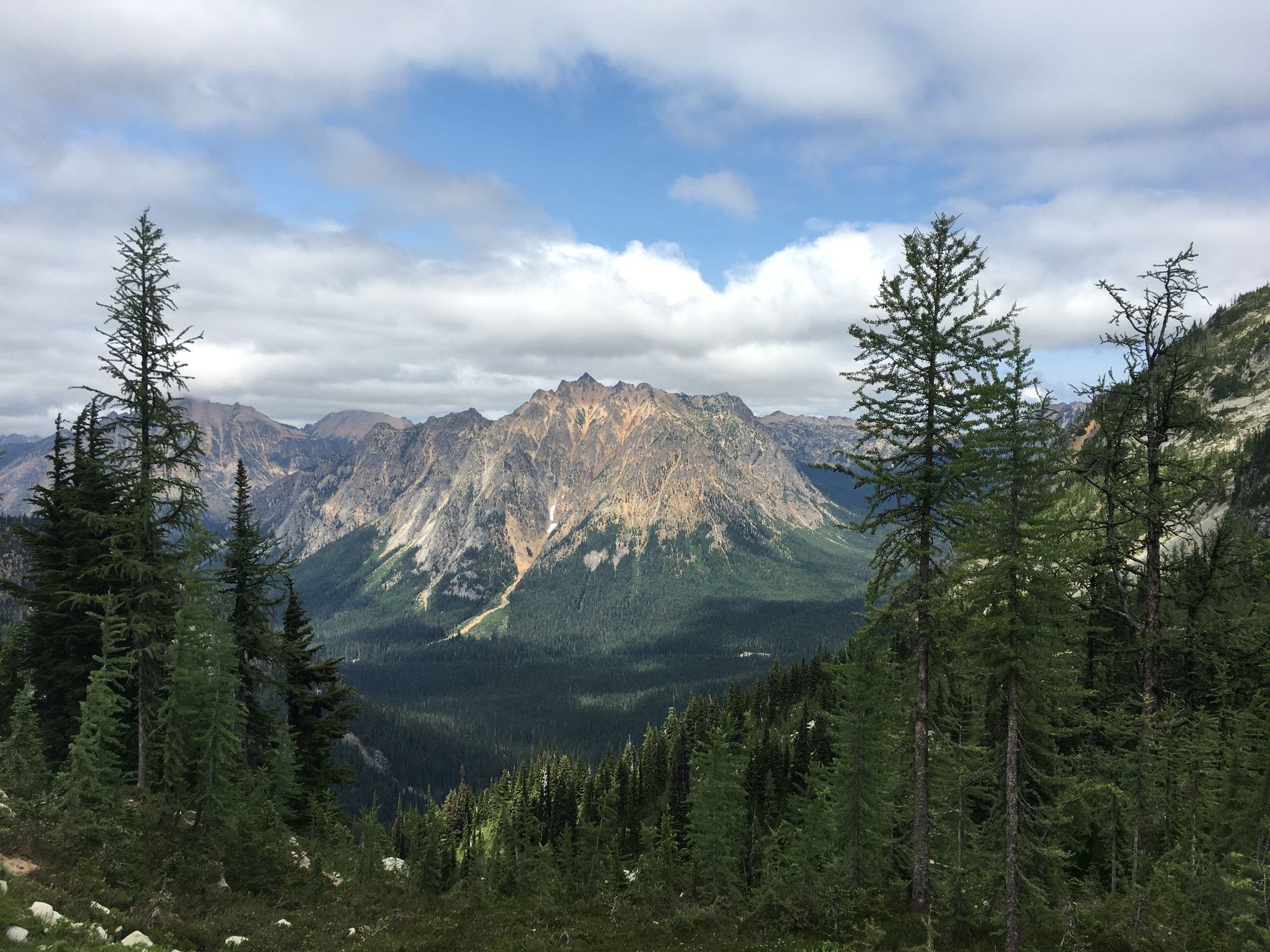Evergreen trees frame a large, rugged mountain under a partly cloudy sky. - Maple Pass Loop Trail