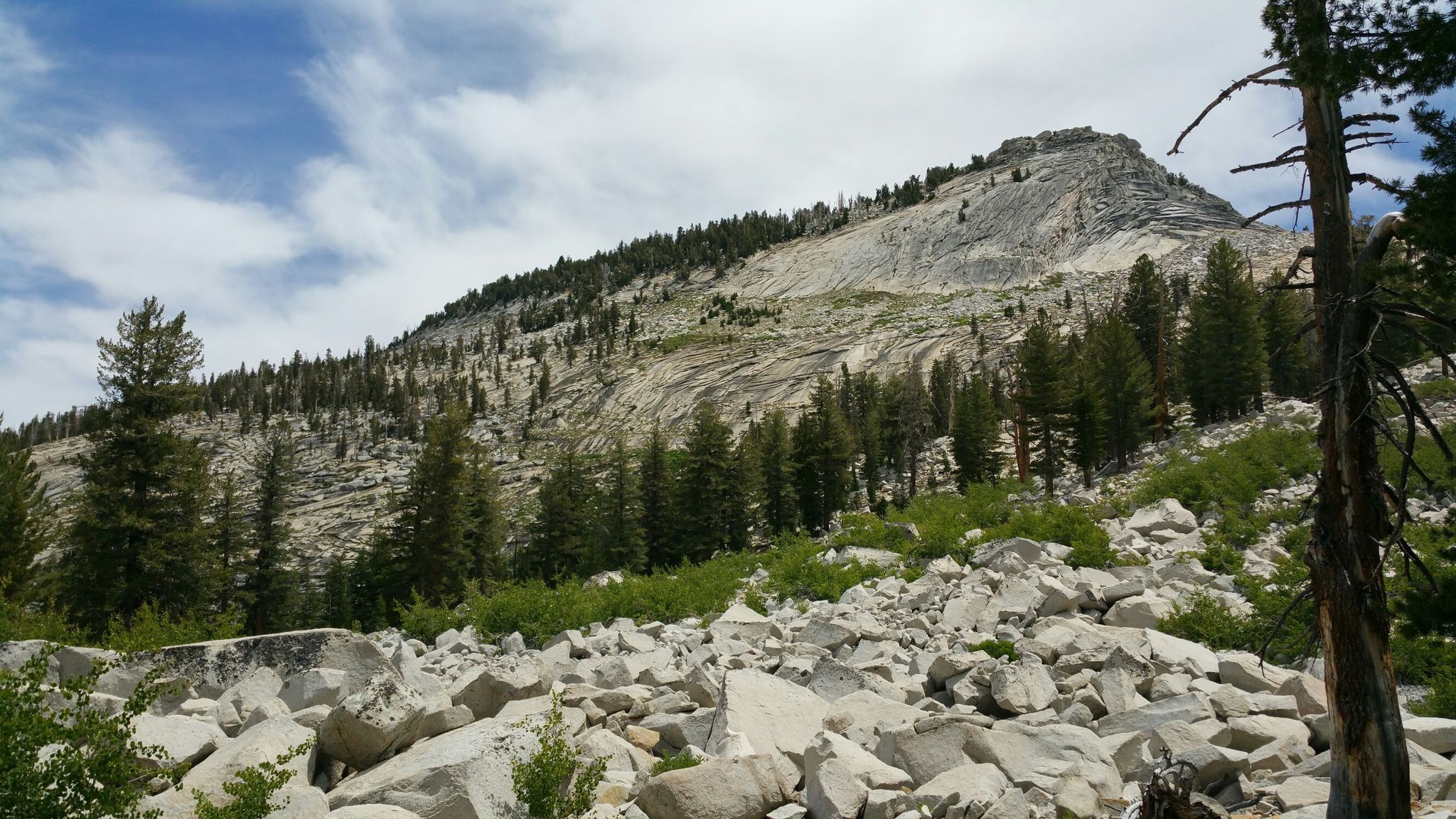 Rocky mountain slope with scattered trees and large boulders under cloudy sky. - Half Dome Loop via Clouds Rest from Tenaya Lake