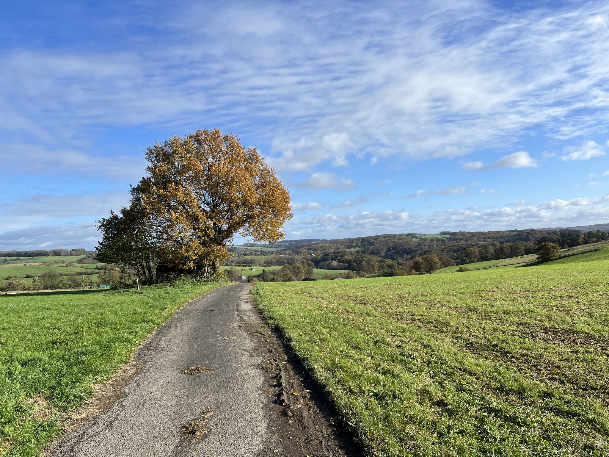 Weg nach Lindscheid