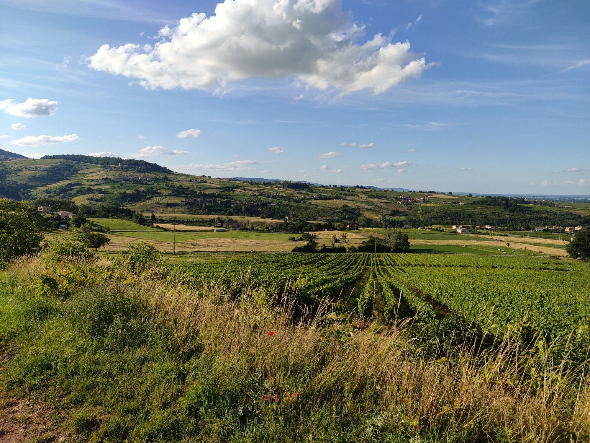 Cogny view!