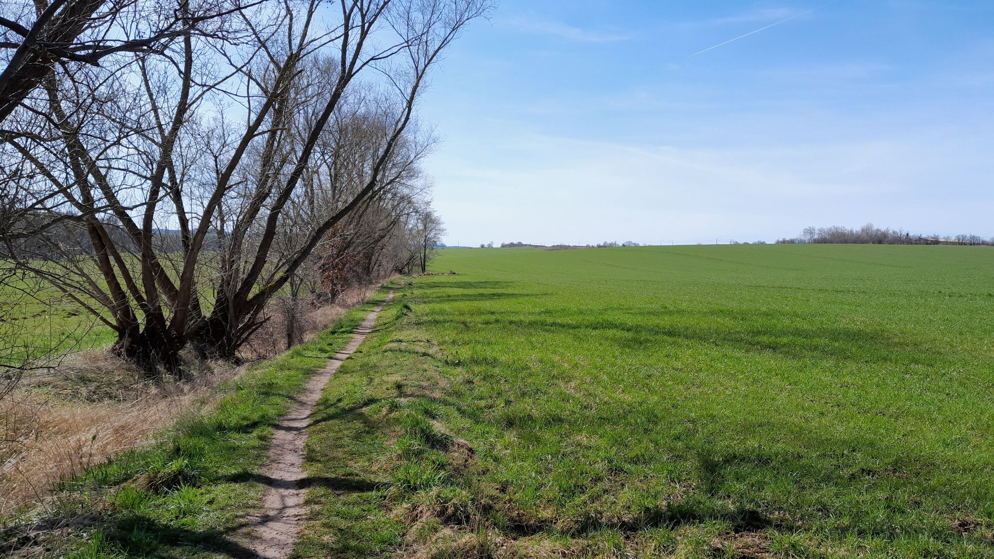 Weg nach Gospersgrün