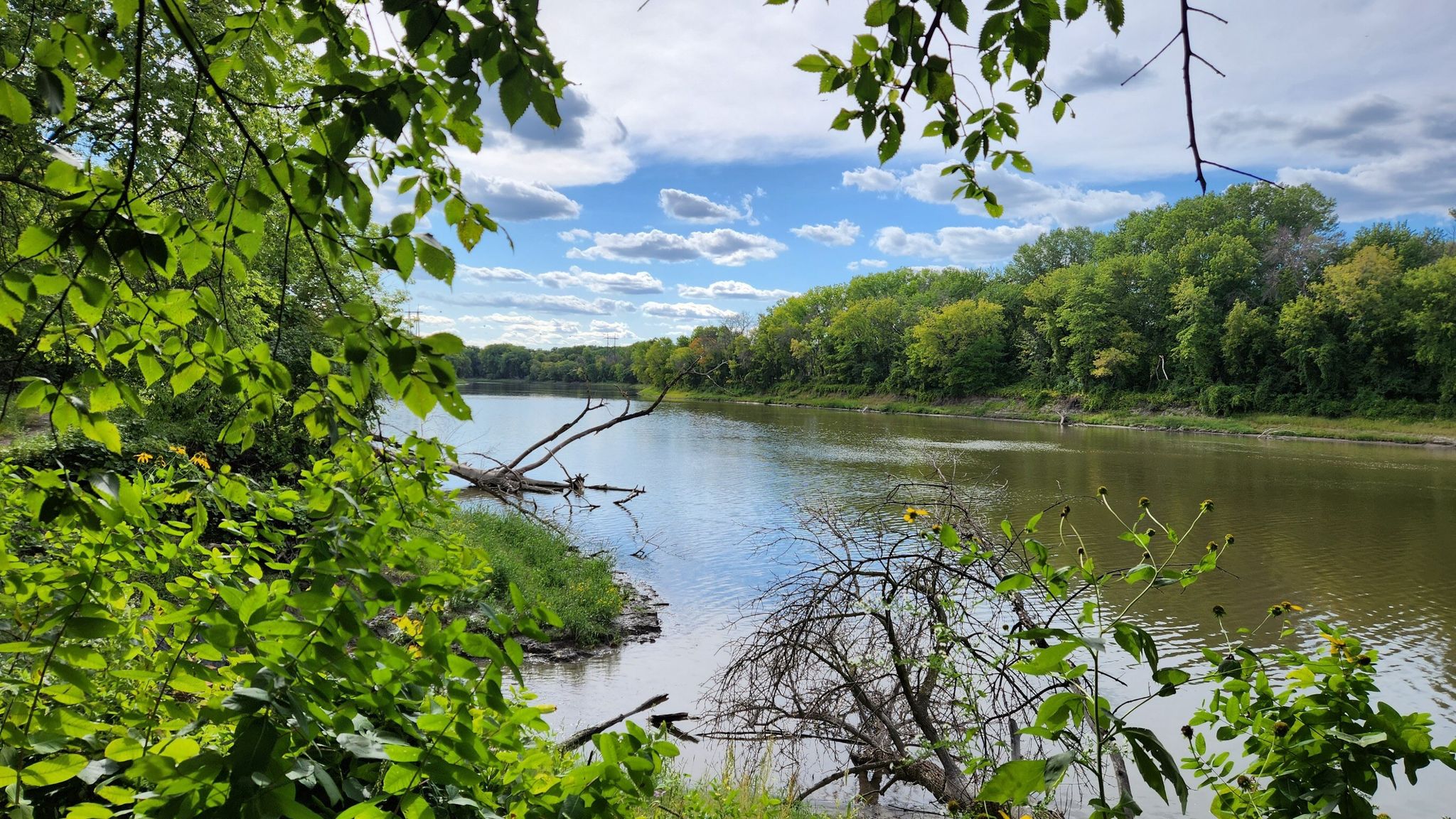 A wide river seen through green foliage, with fallen logs and cloudy sky. - Minnesota Riverbank Trail – Mendota Trail loop from Mendota
