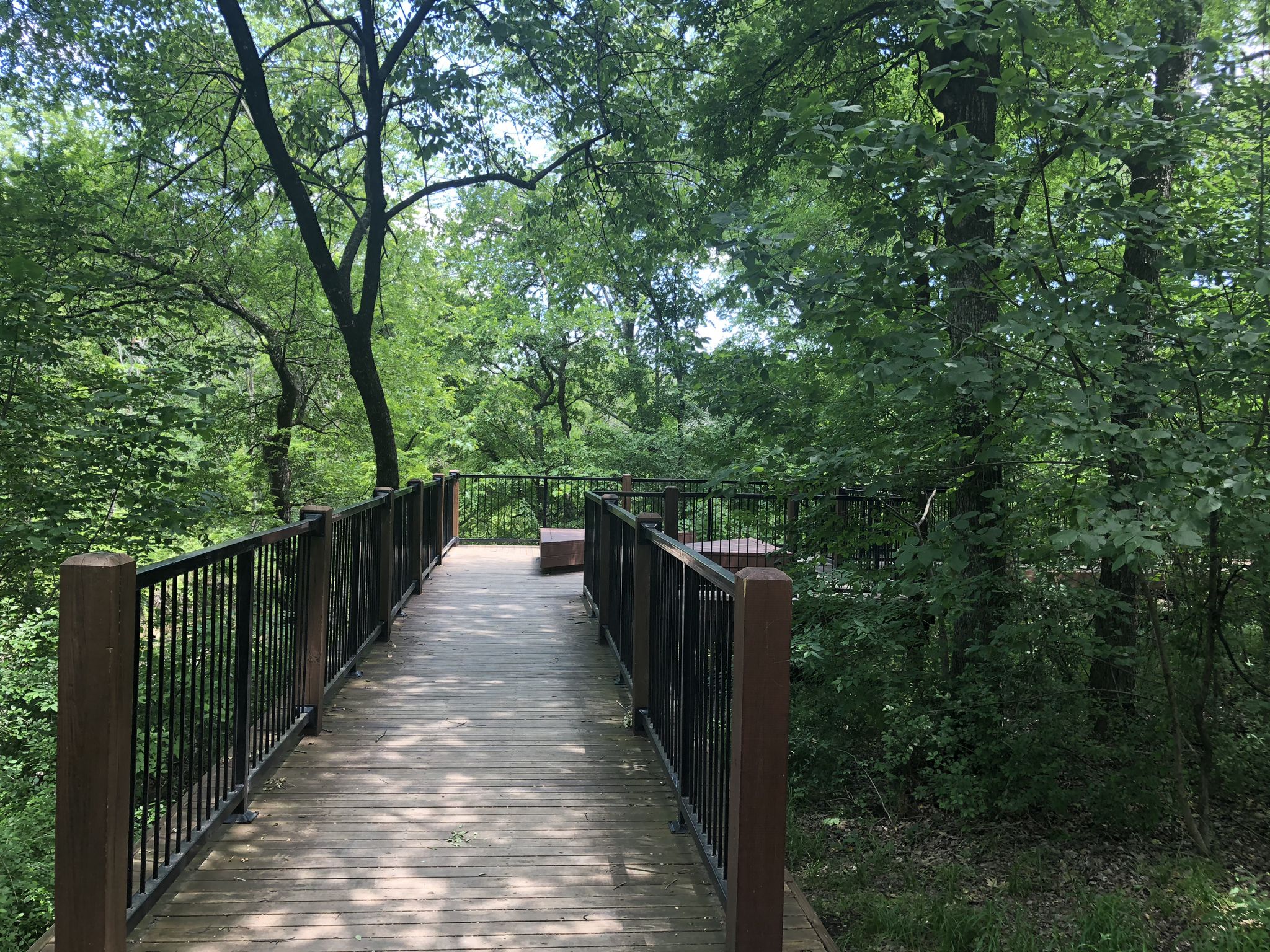 Wooden boardwalk with railings winding through a sunlit, dense green forest. - Watters Creek Trail