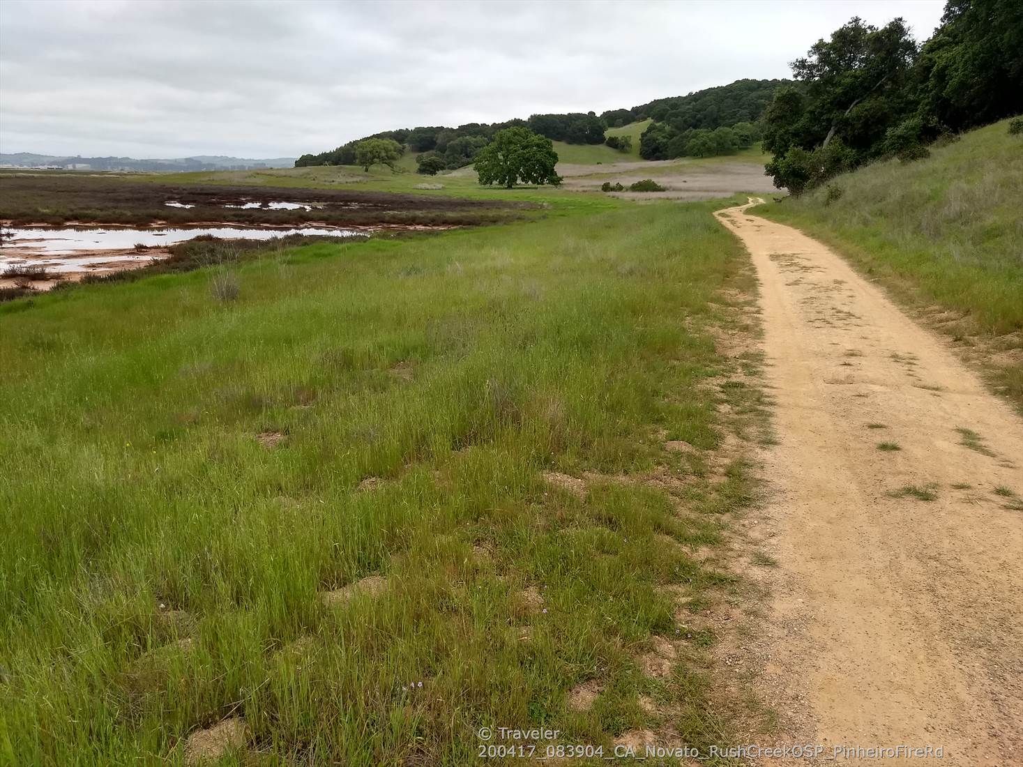 A dirt path curves alongside green marshland with distant wooded hills. - Pinheiro Fire Road Trailhead loop from Novato