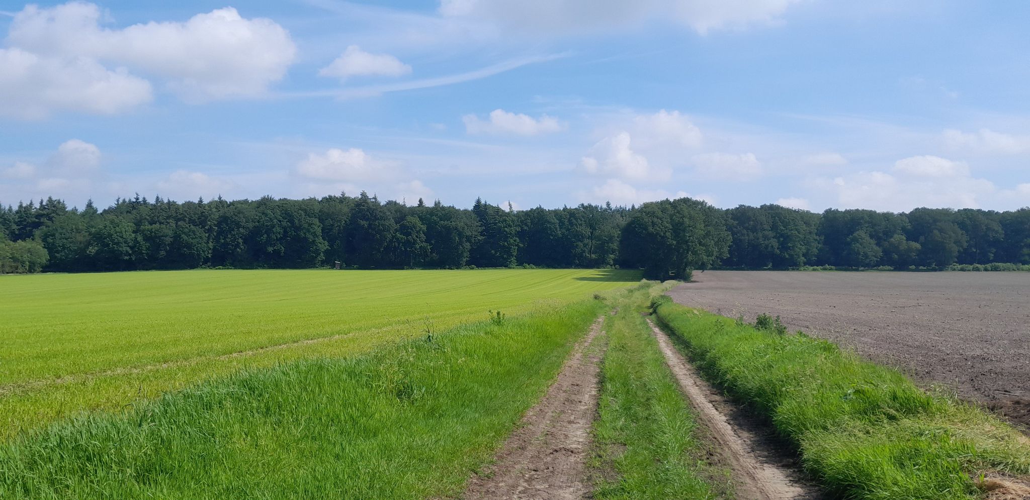 Kleine Talsenke am "Grafelder Mühlenweg"