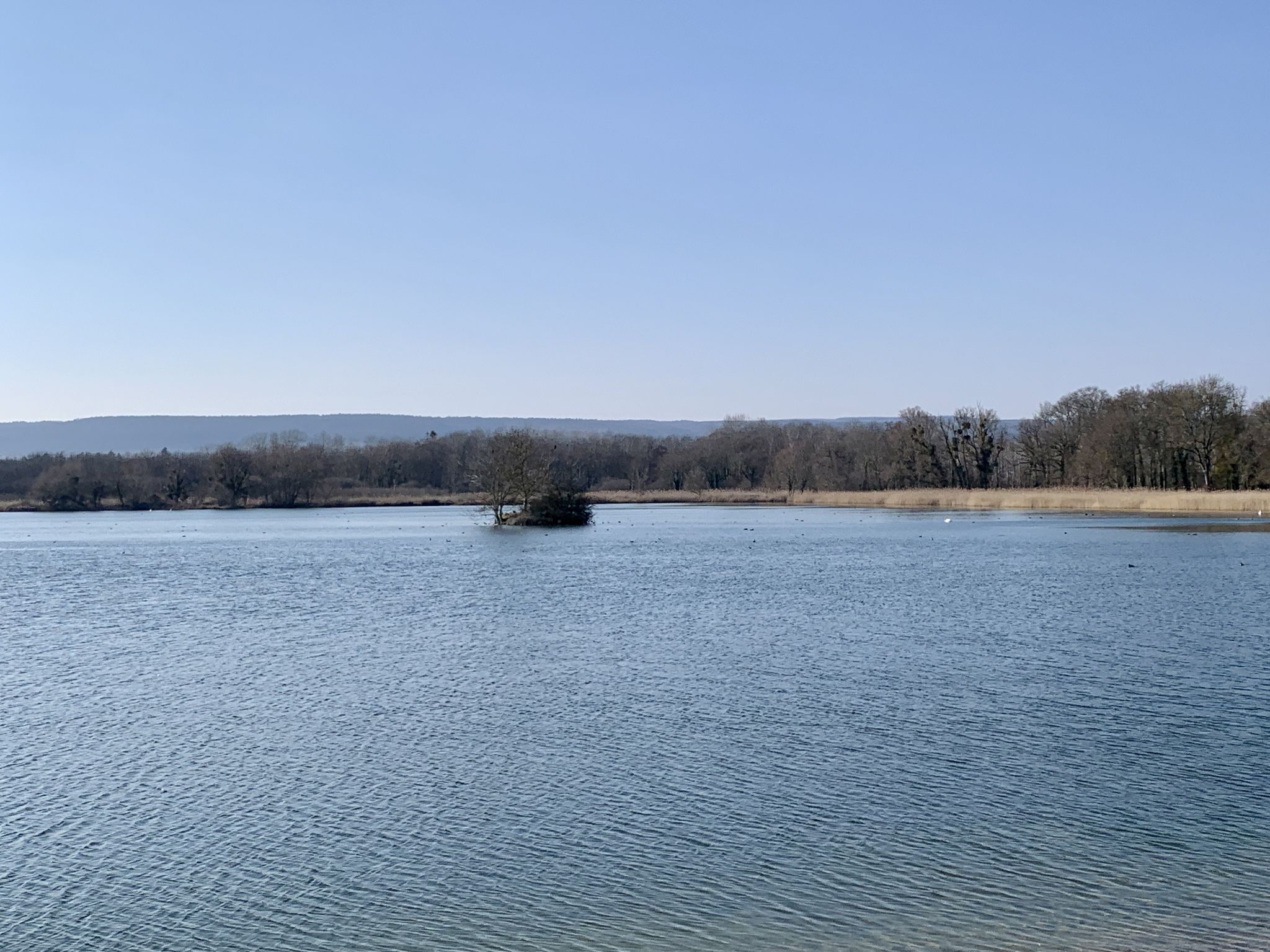 Etang de Sathenay