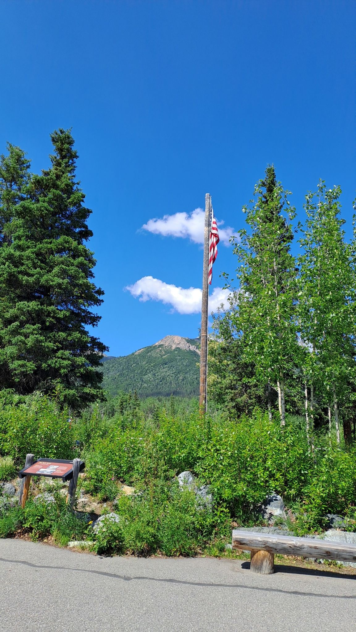 American flag on a pole, surrounded by trees, with a mountain under blue sky. - Spruce Forest Trail