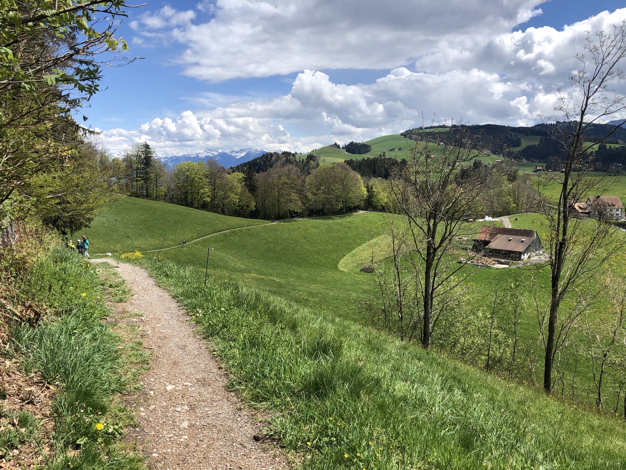 Etzel-Süd-Trail