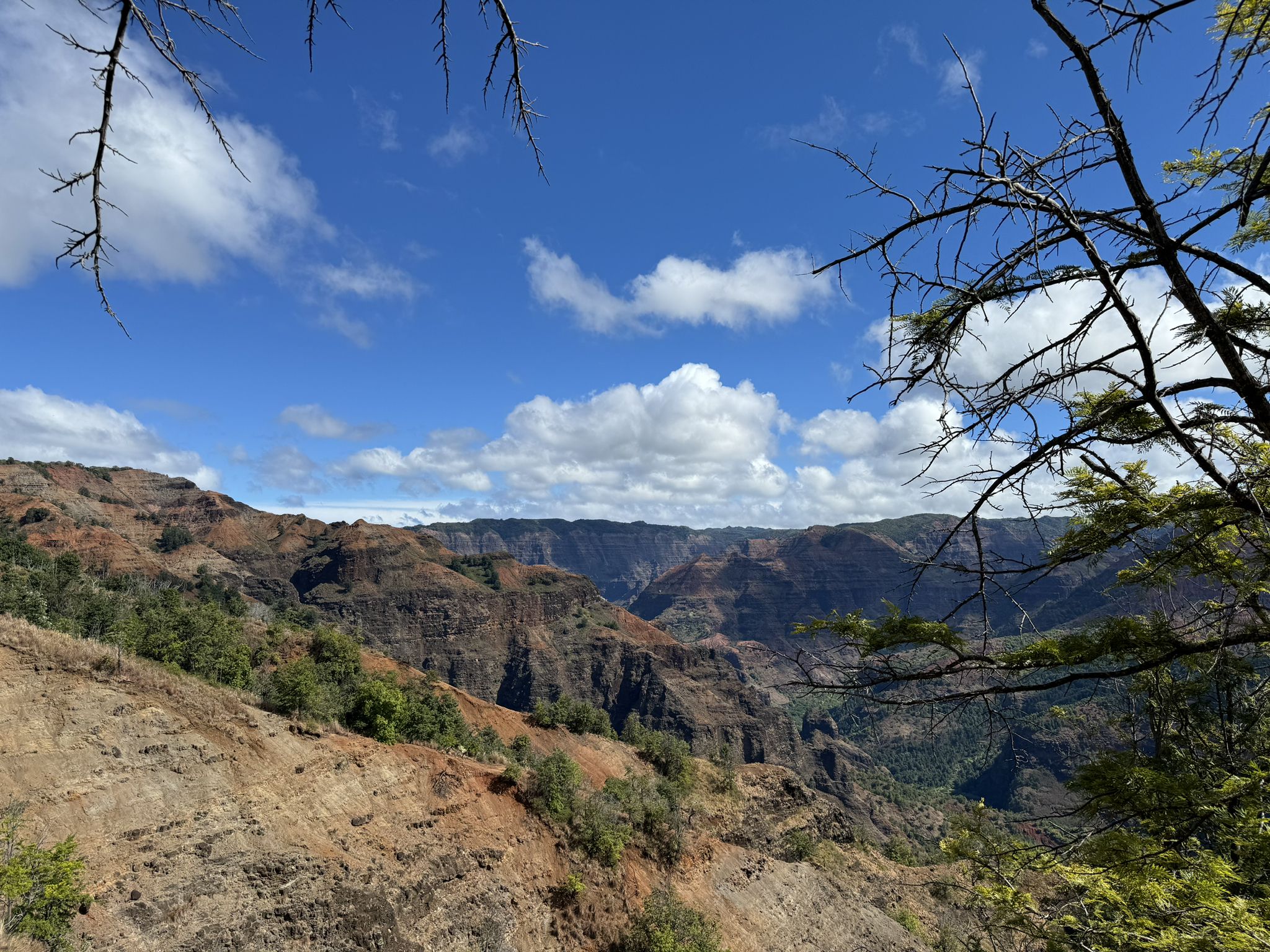 Vast, colorful canyon under a bright blue sky with white clouds. - Highway 550