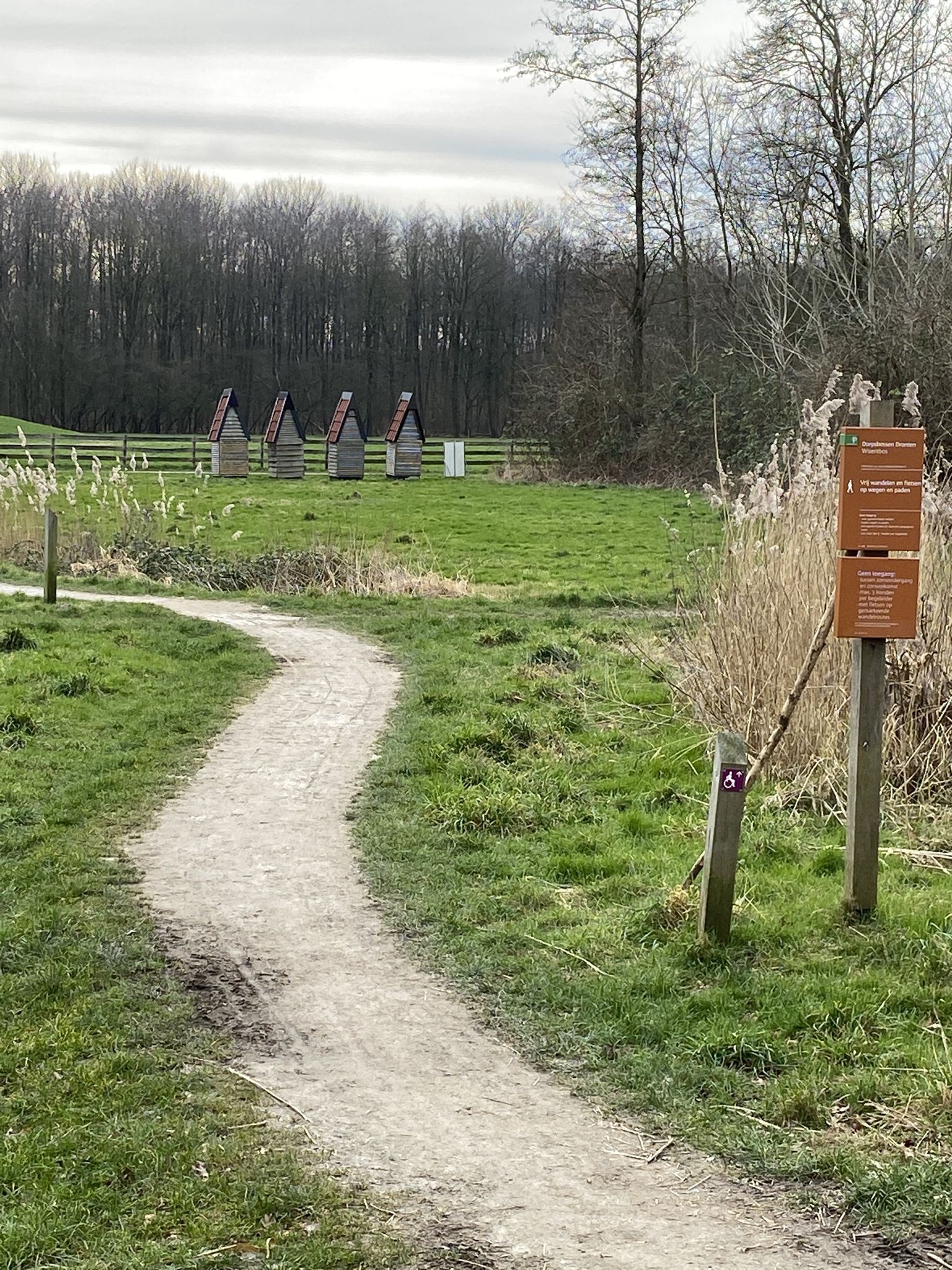 Wisentbos