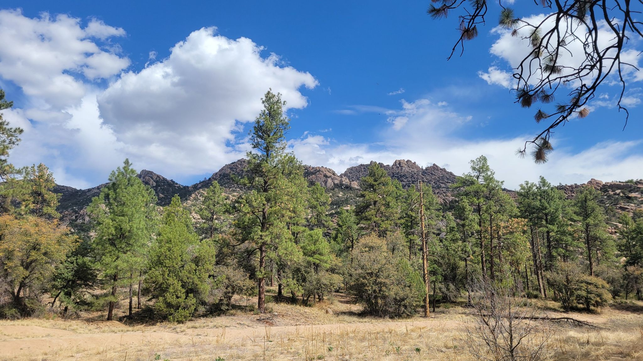 Pine trees in a valley, rocky mountains under a blue sky with white clouds. - Granite Mountain Trail #261