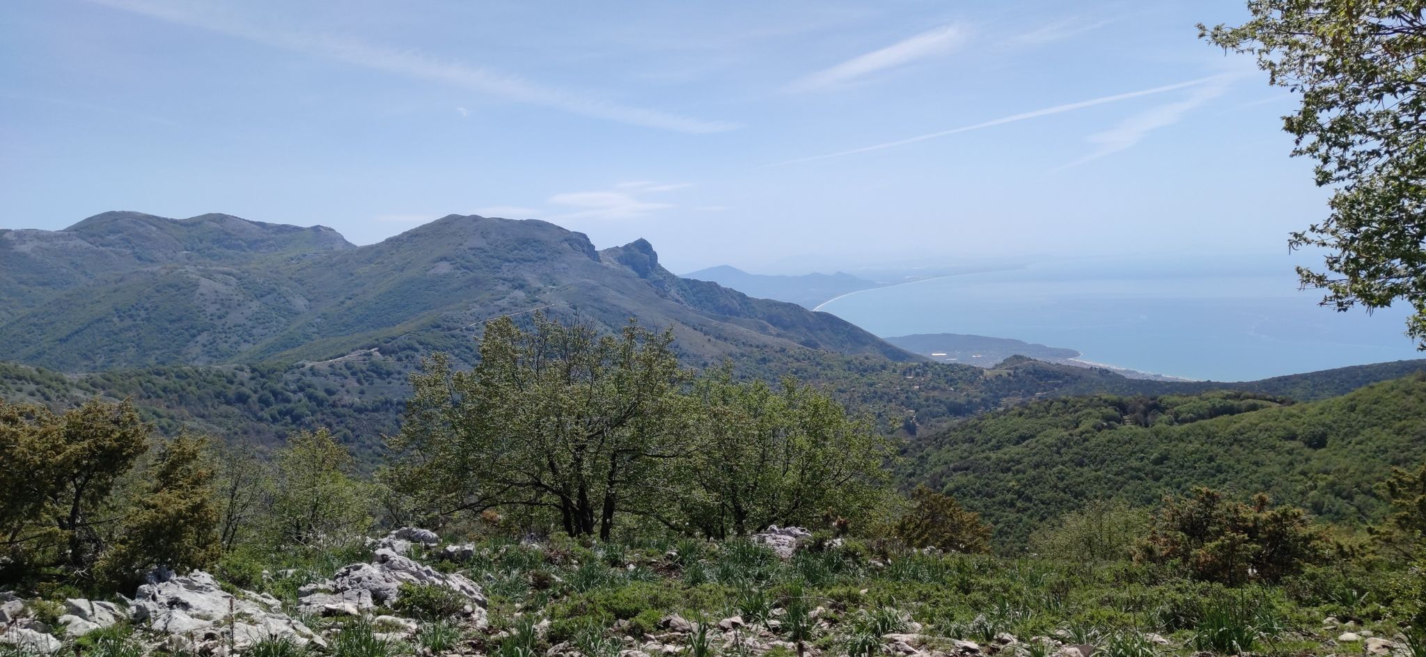Redentore da Monte Viola