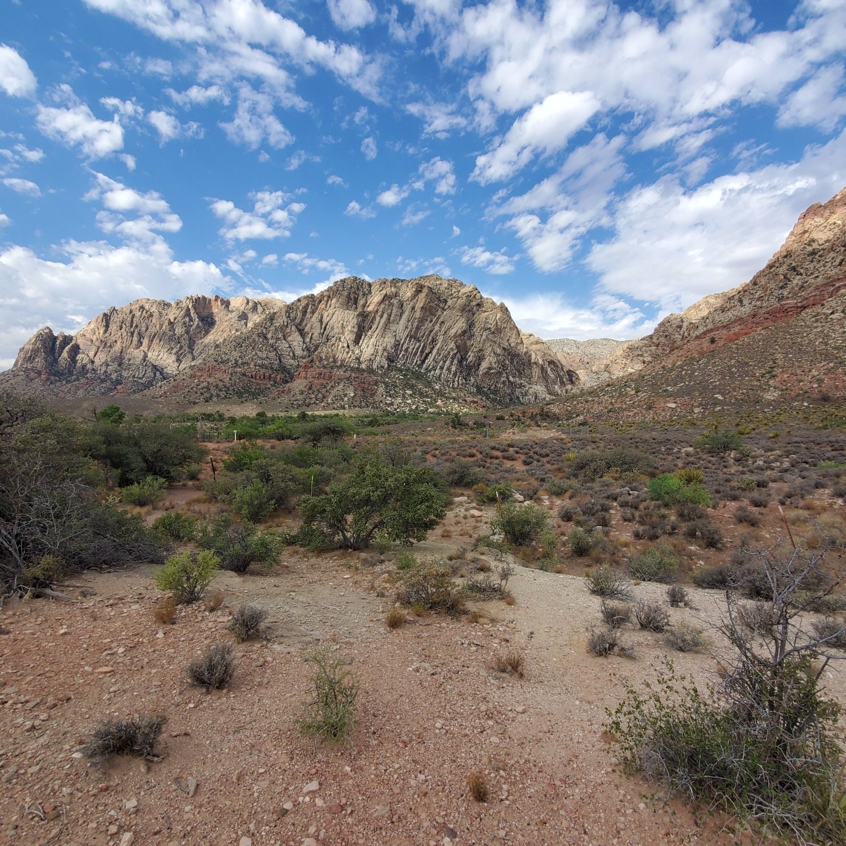 Arid desert landscape with rugged mountains under a bright, cloudy sky. - Sandstone Canyon Loop Trail