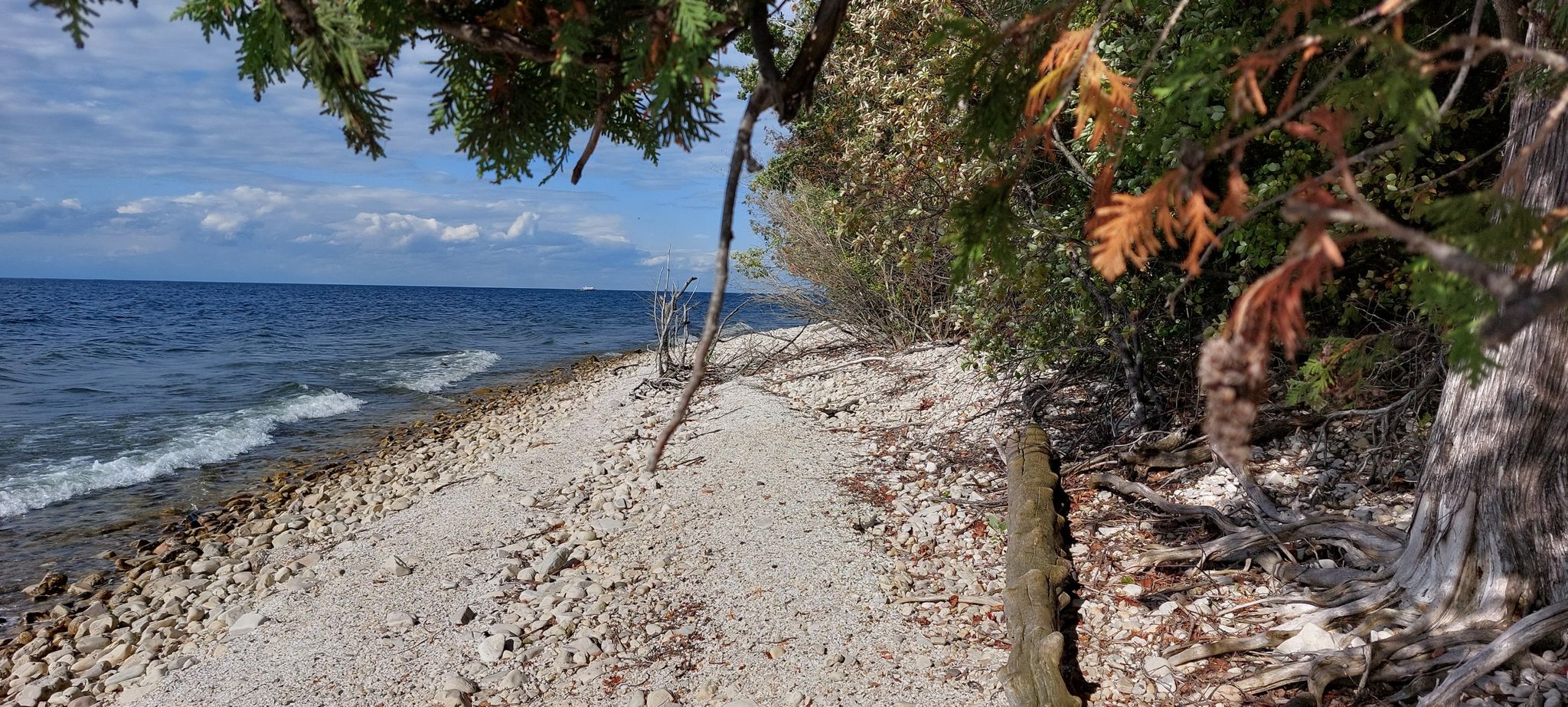 Rocky beach with small waves, trees with autumn leaves, sunny. - Eagle Panorama – Nicolet Bay Beach loop from Sister Bay