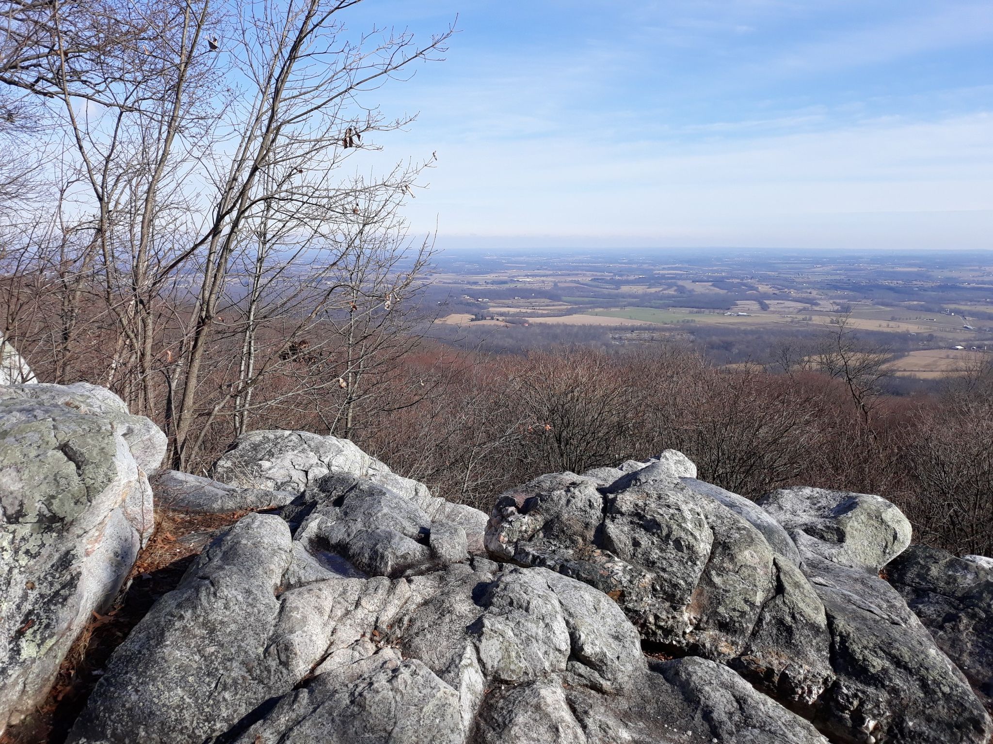 Rocky outcrop with bare trees overlooks a vast valley under a blue sky. - Cunningham Falls Manor to White Rock via Catoctin Trail