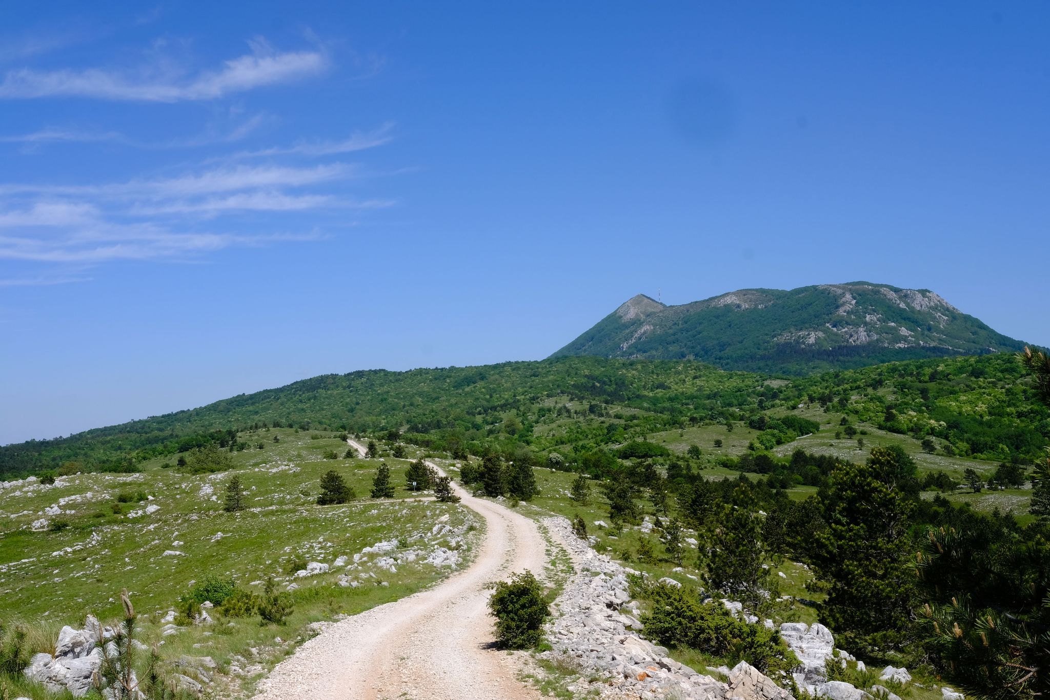 Vista sul monte Vojak