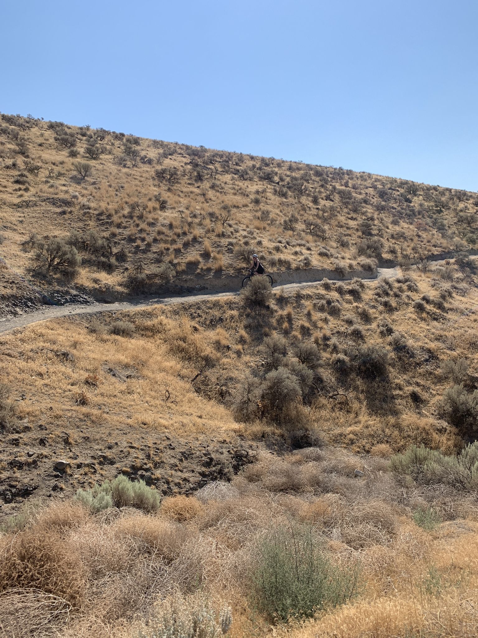 A person bikes on a winding dirt road through dry, sunny hills. - Badger Mountain Skyline Loop