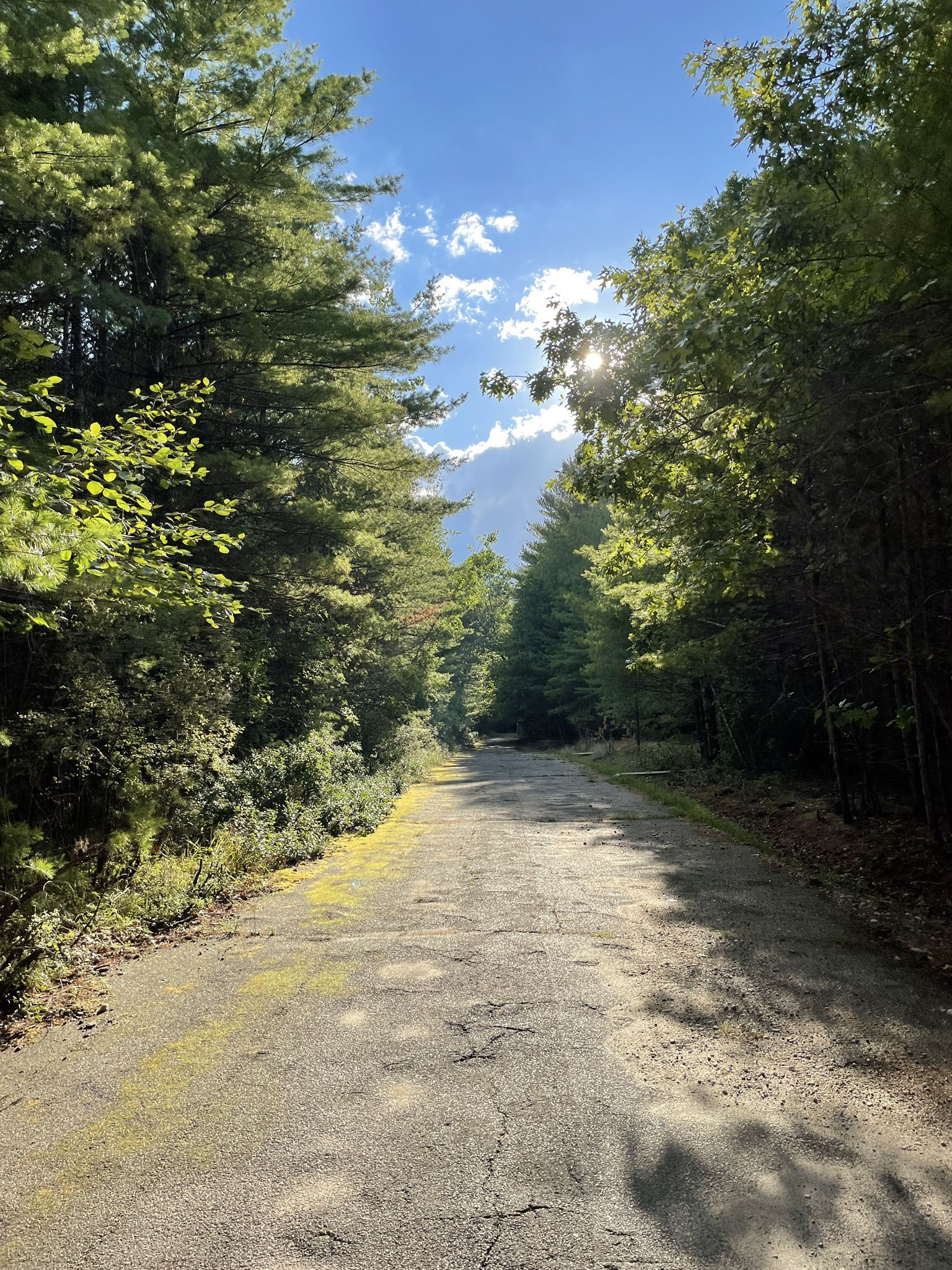 Sunlit, tree-lined paved path with bright sky and clouds. - Wompatuck State Park - Intermediate Route (7 miles)