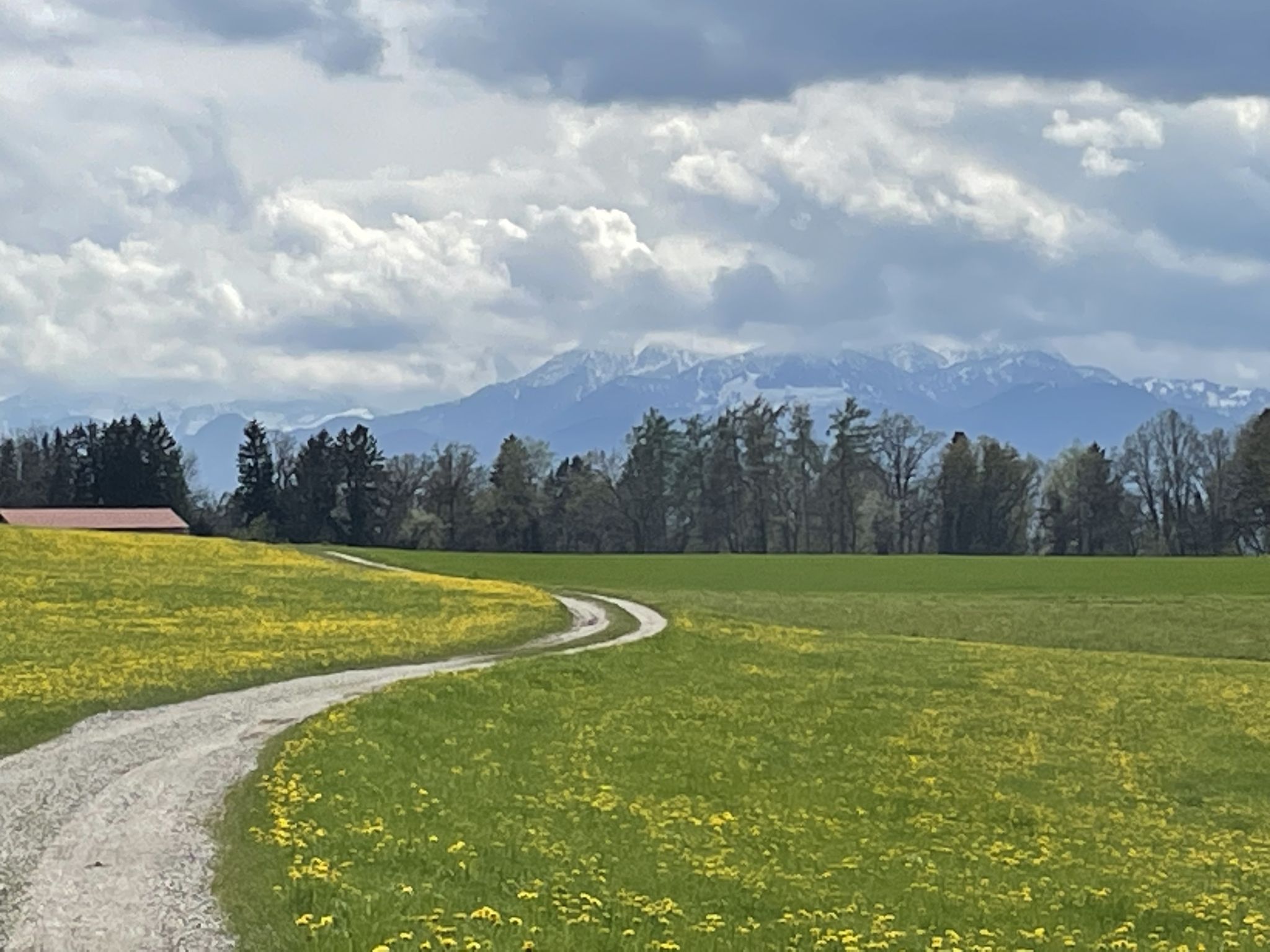 Blich zurück nach Leonhatdspfunzen
