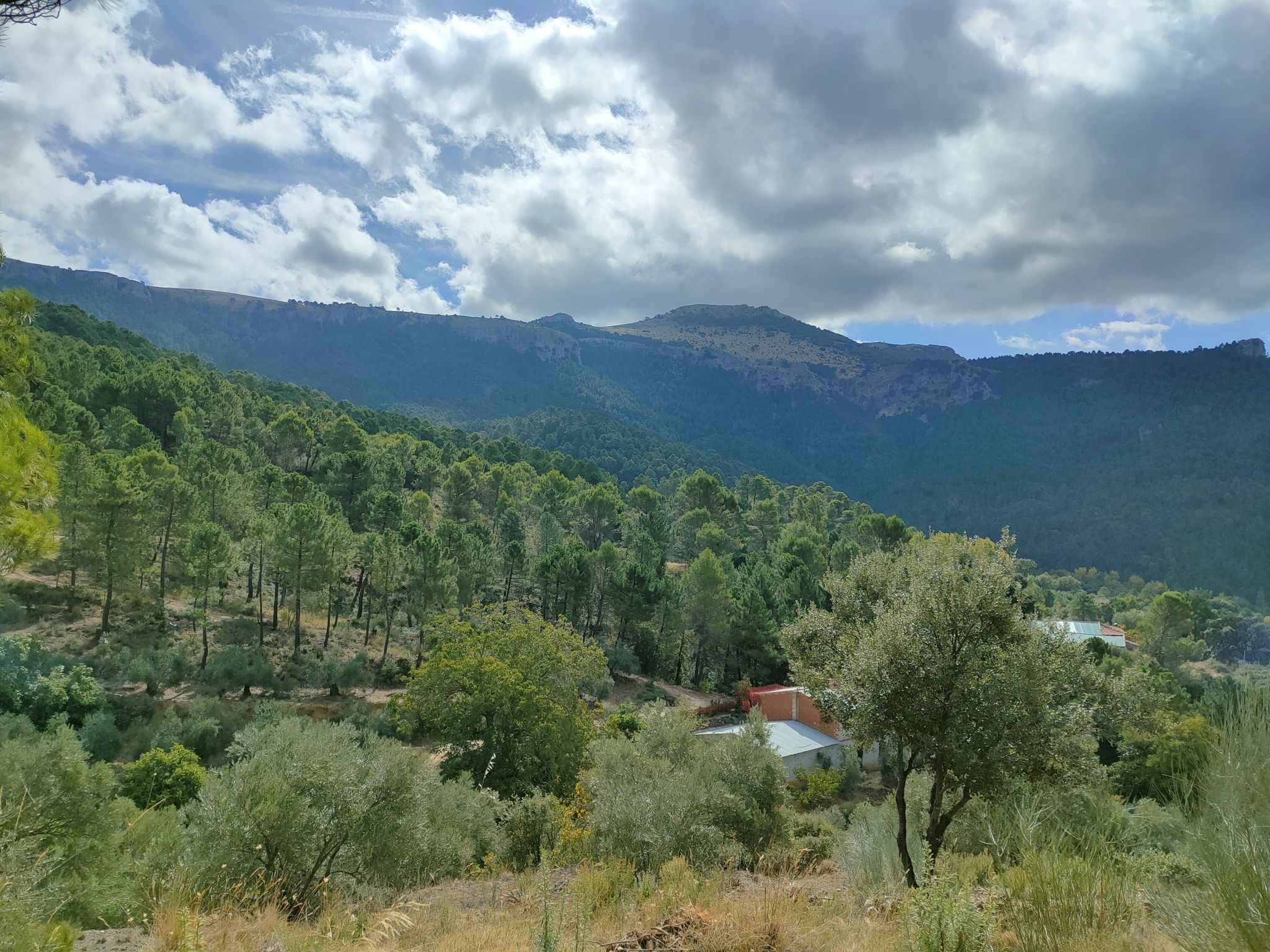 calar