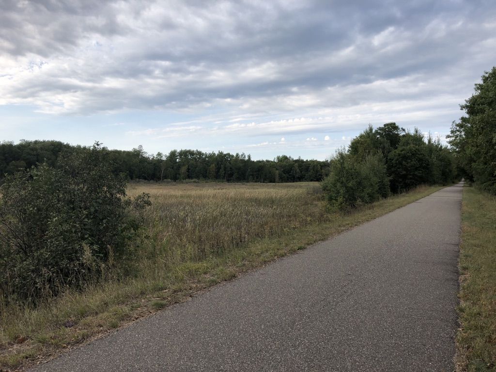 Paved path next to a field of tall grass and distant trees under cloudy sky. - Roadbike loop from Morey's Seafood Market