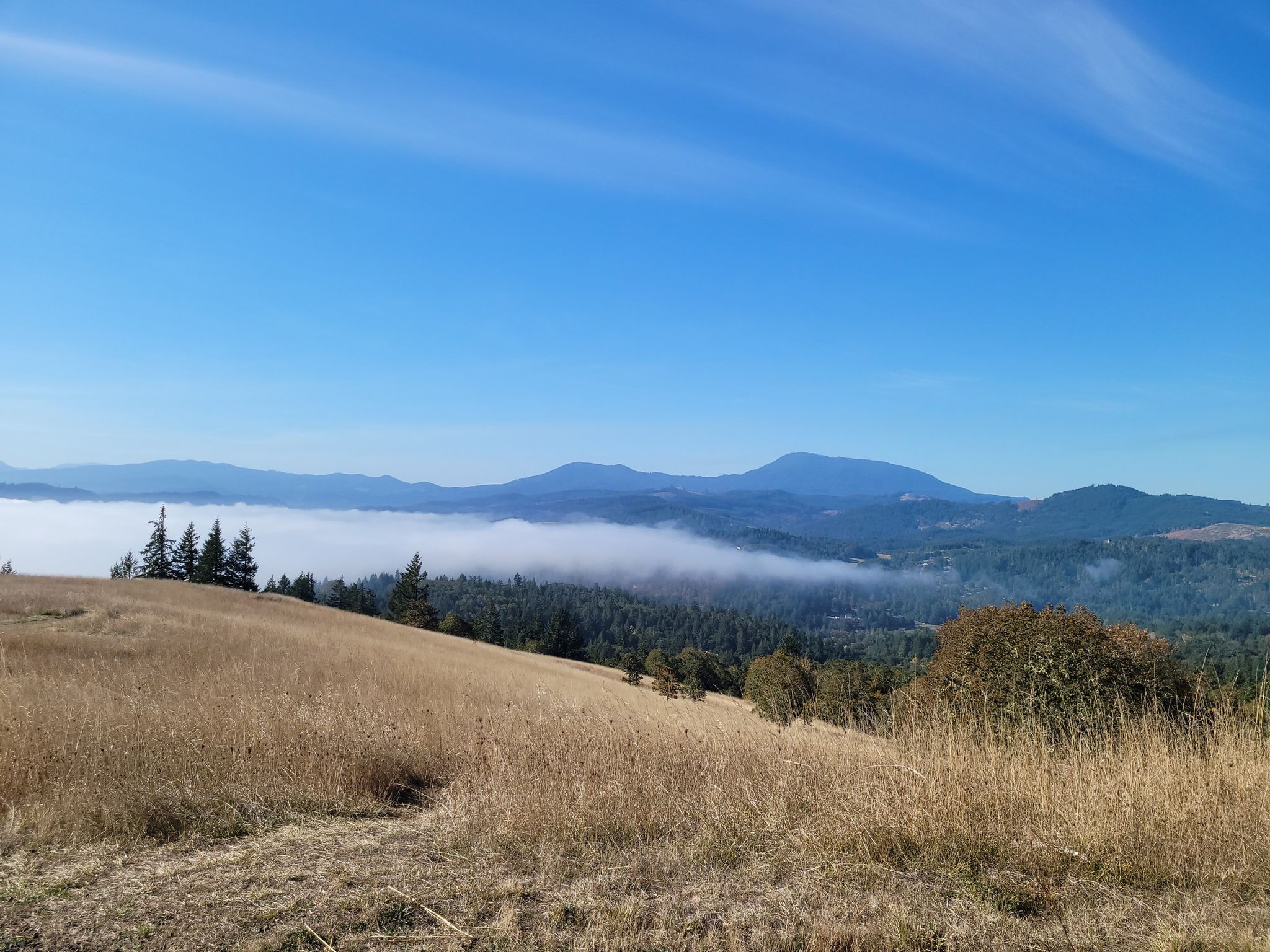 Sunny view of a golden hillside, fog-filled valley, and distant mountains. - Cardwell Hill and Allen Throop Loop